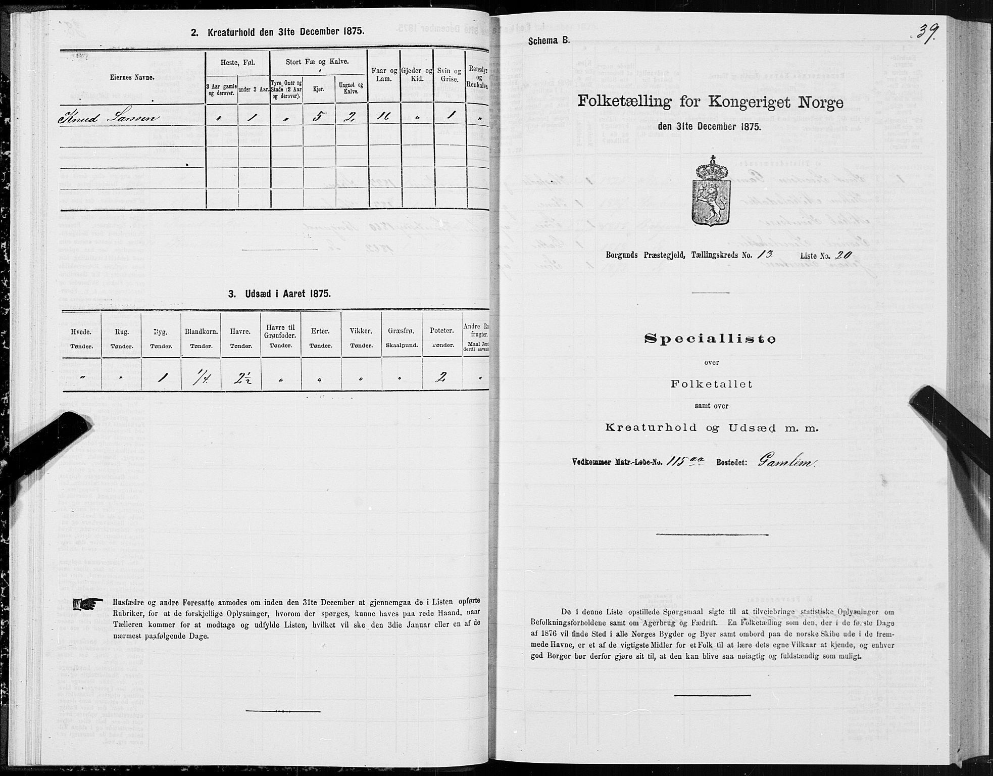 SAT, 1875 census for 1531P Borgund, 1875, p. 7039