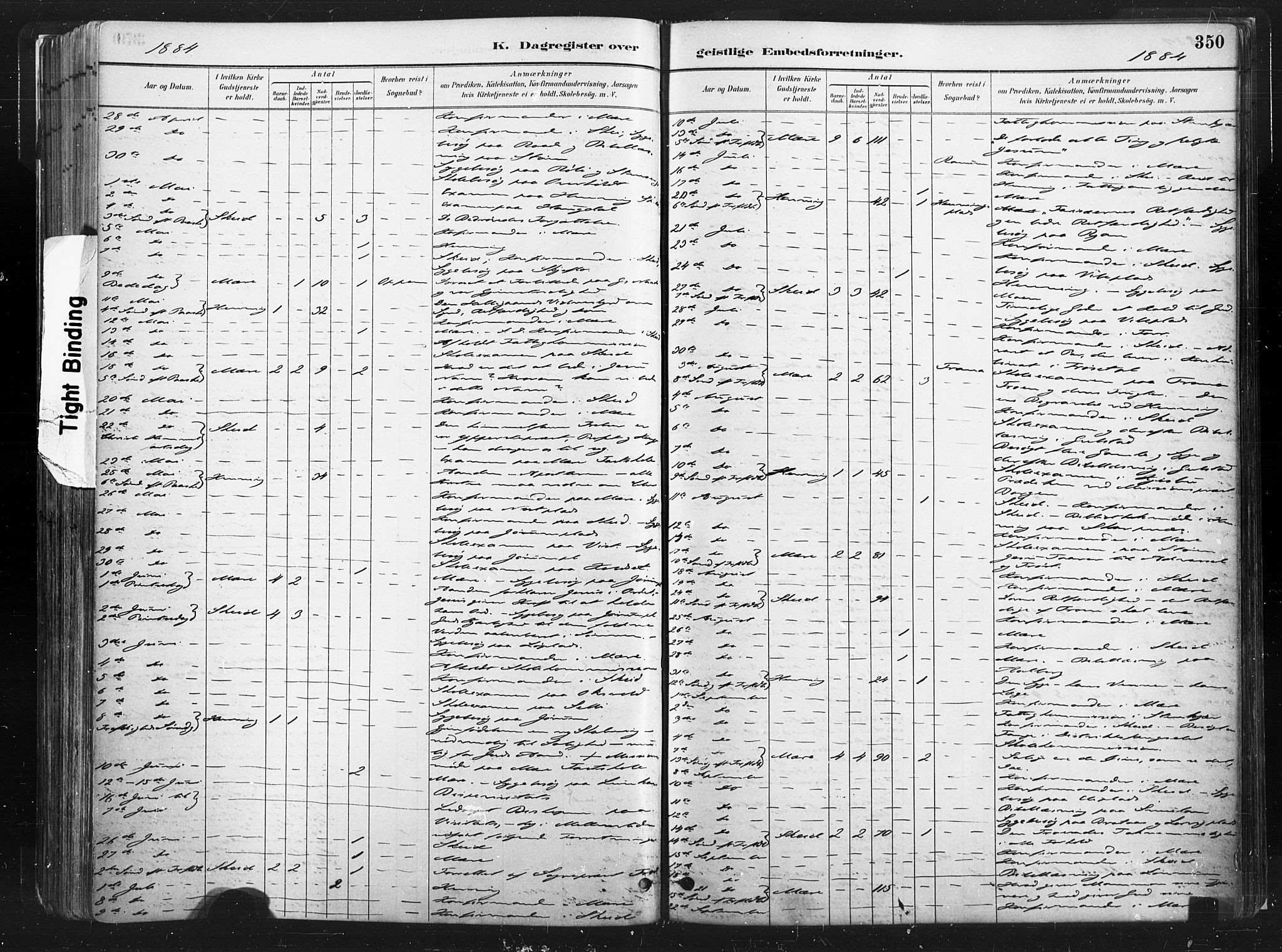 Ministerialprotokoller, klokkerbøker og fødselsregistre - Nord-Trøndelag, AV/SAT-A-1458/735/L0351: Parish register (official) no. 735A10, 1884-1908, p. 350