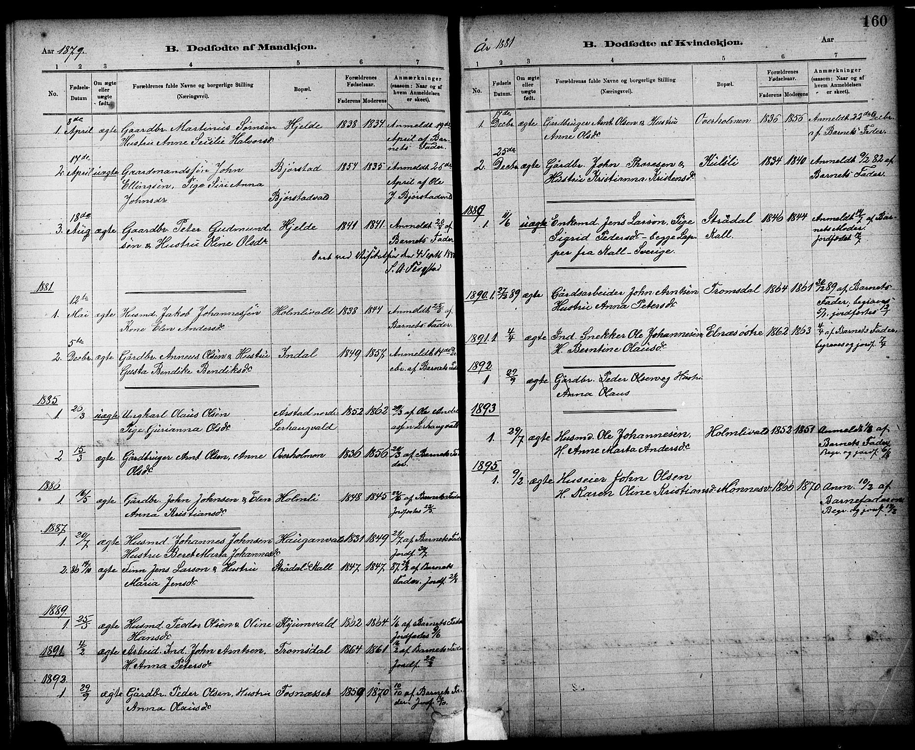 Ministerialprotokoller, klokkerbøker og fødselsregistre - Nord-Trøndelag, SAT/A-1458/724/L0267: Parish register (copy) no. 724C03, 1879-1898, p. 160