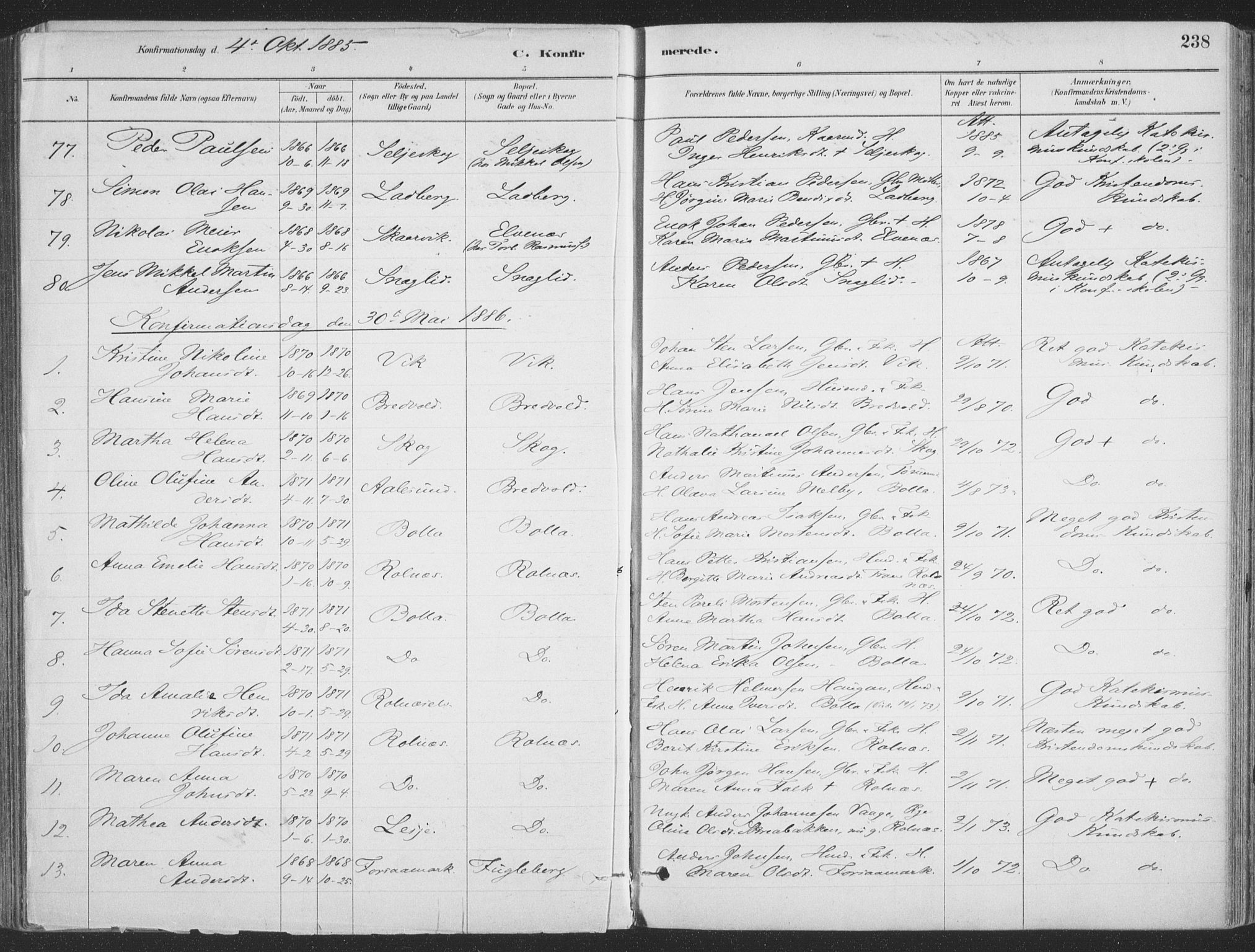 Ibestad sokneprestembete, SATØ/S-0077/H/Ha/Haa/L0011kirke: Parish register (official) no. 11, 1880-1889, p. 238