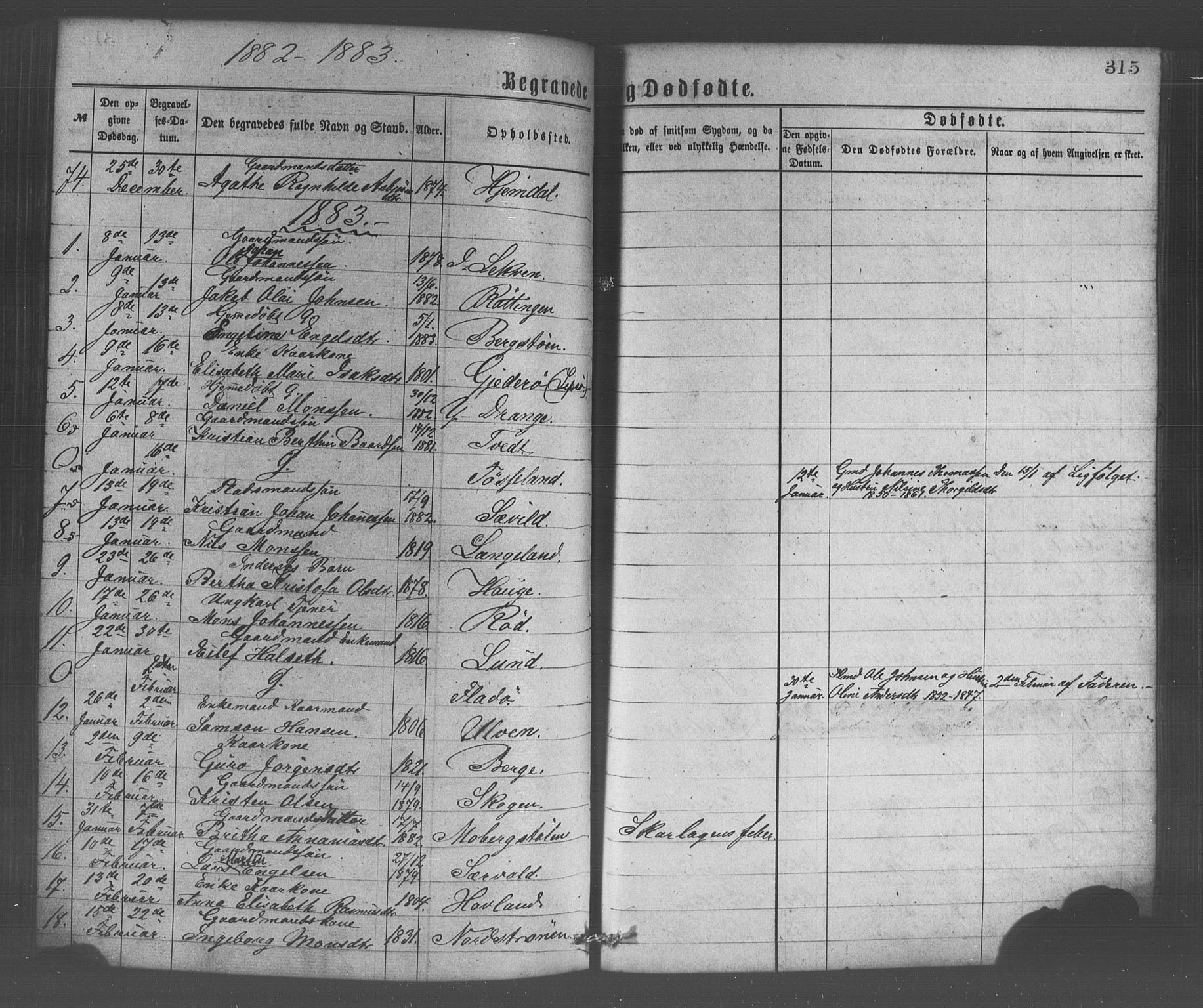 Os sokneprestembete, SAB/A-99929: Parish register (official) no. A 18, 1874-1884, p. 315