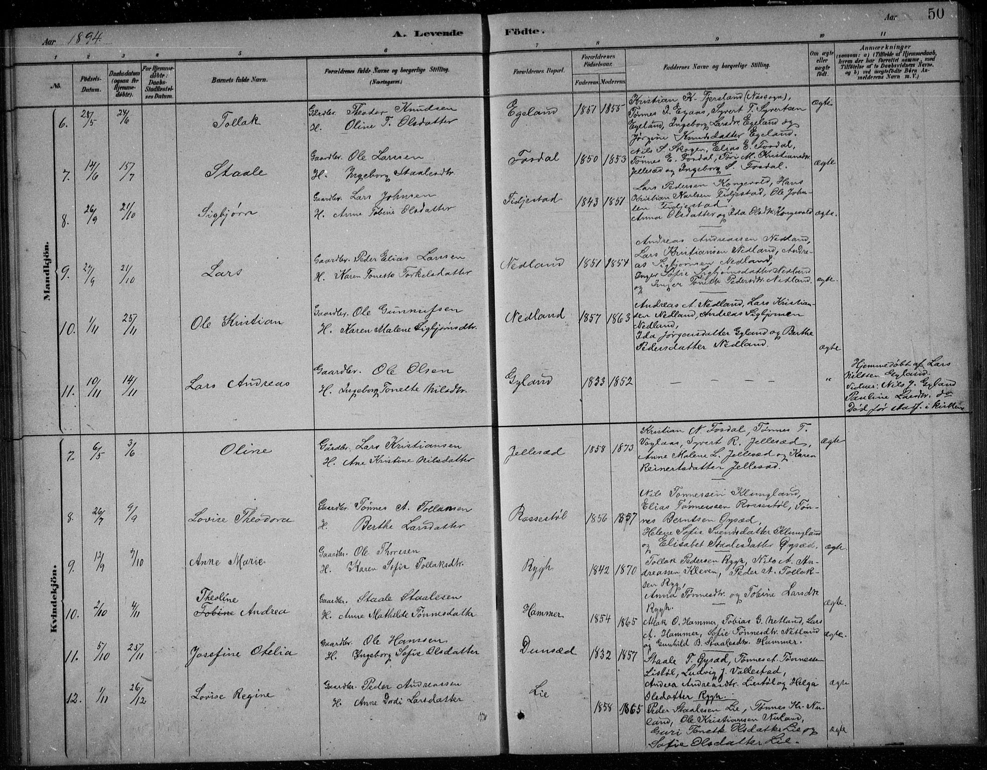 Bakke sokneprestkontor, AV/SAK-1111-0002/F/Fb/Fbb/L0003: Parish register (copy) no. B 3, 1878-1896, p. 50