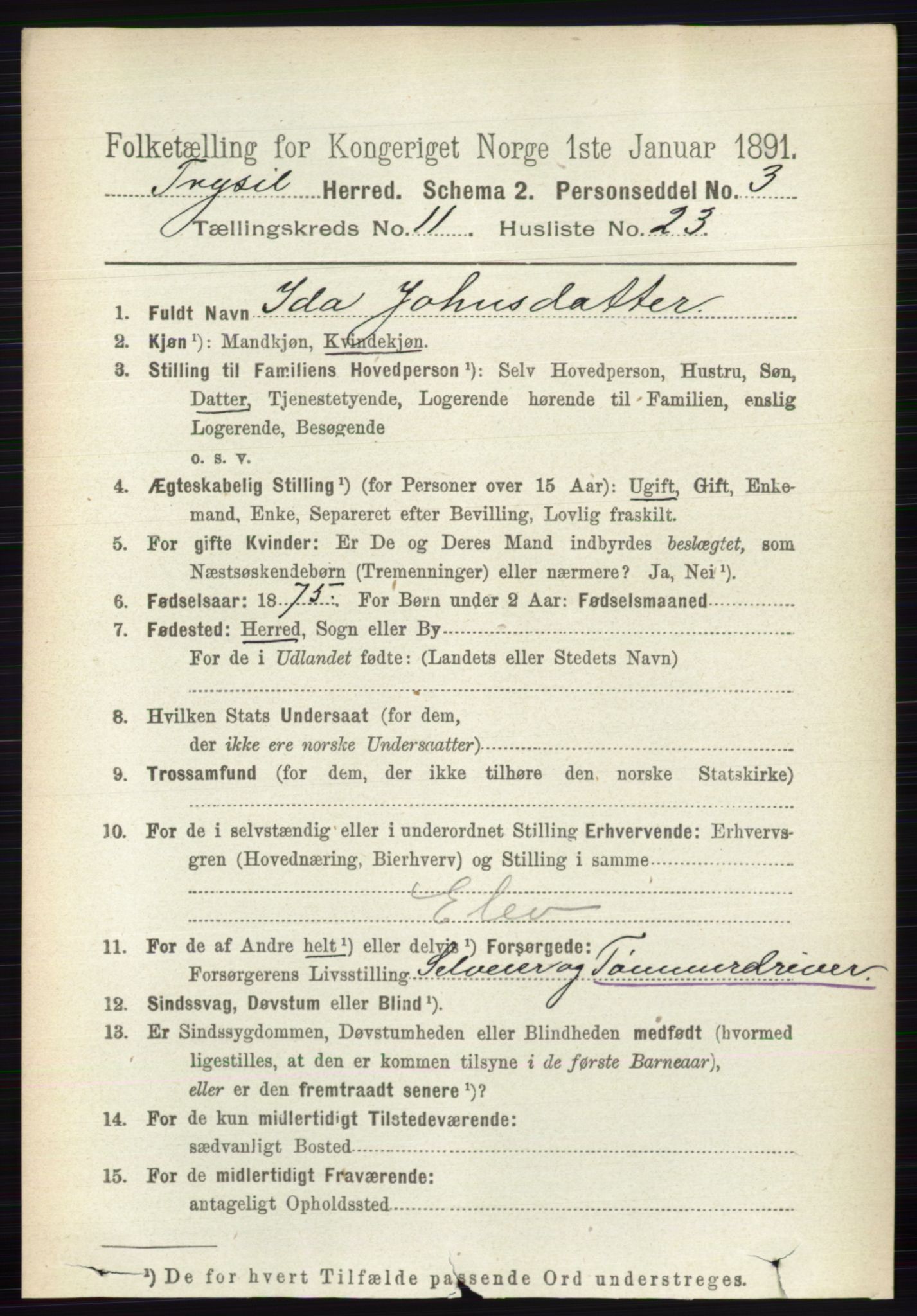 RA, 1891 census for 0428 Trysil, 1891, p. 5673