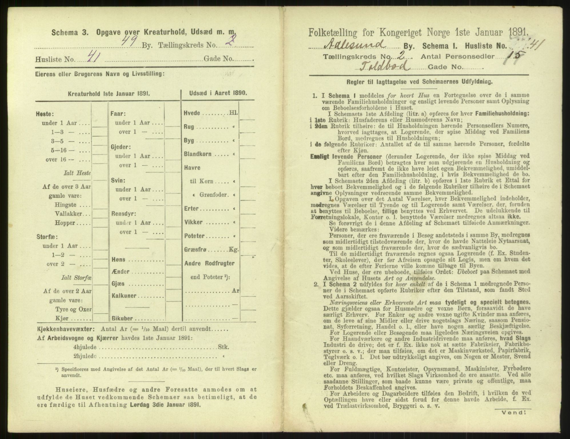 RA, 1891 census for 1501 Ålesund, 1891, p. 202