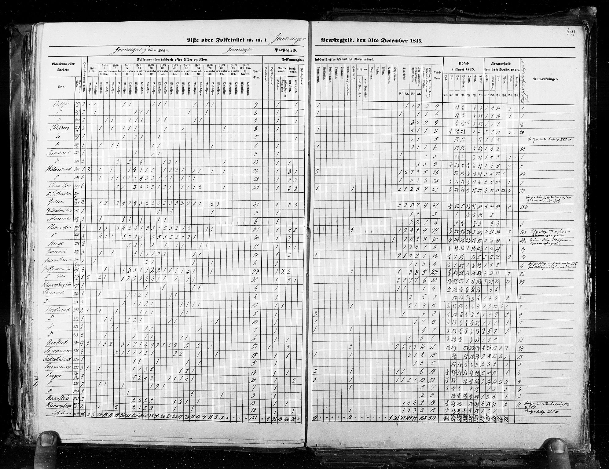 RA, Census 1845, vol. 3: Hedemarken amt og Kristians amt, 1845, p. 441