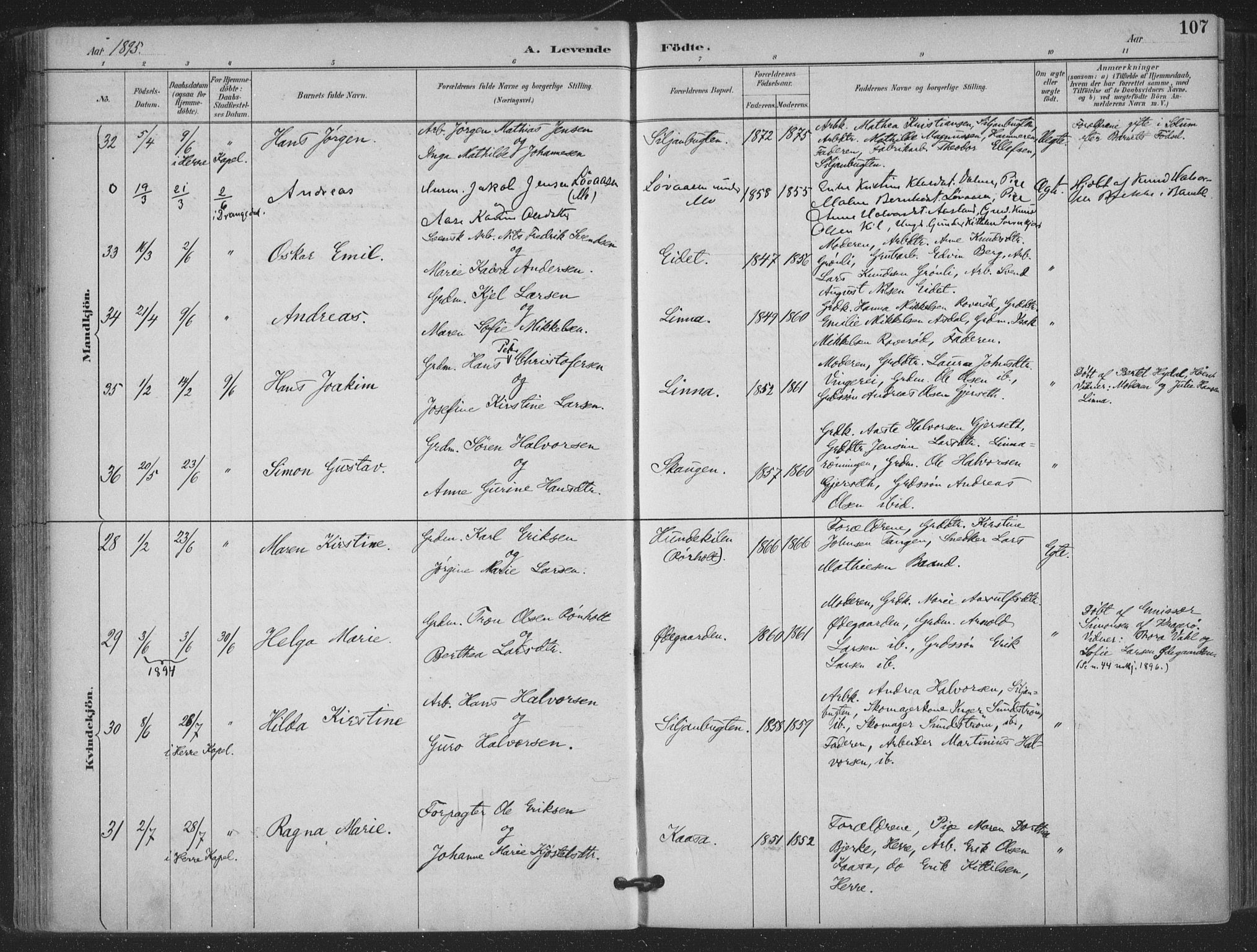 Bamble kirkebøker, AV/SAKO-A-253/F/Fa/L0008: Parish register (official) no. I 8, 1888-1900, p. 107