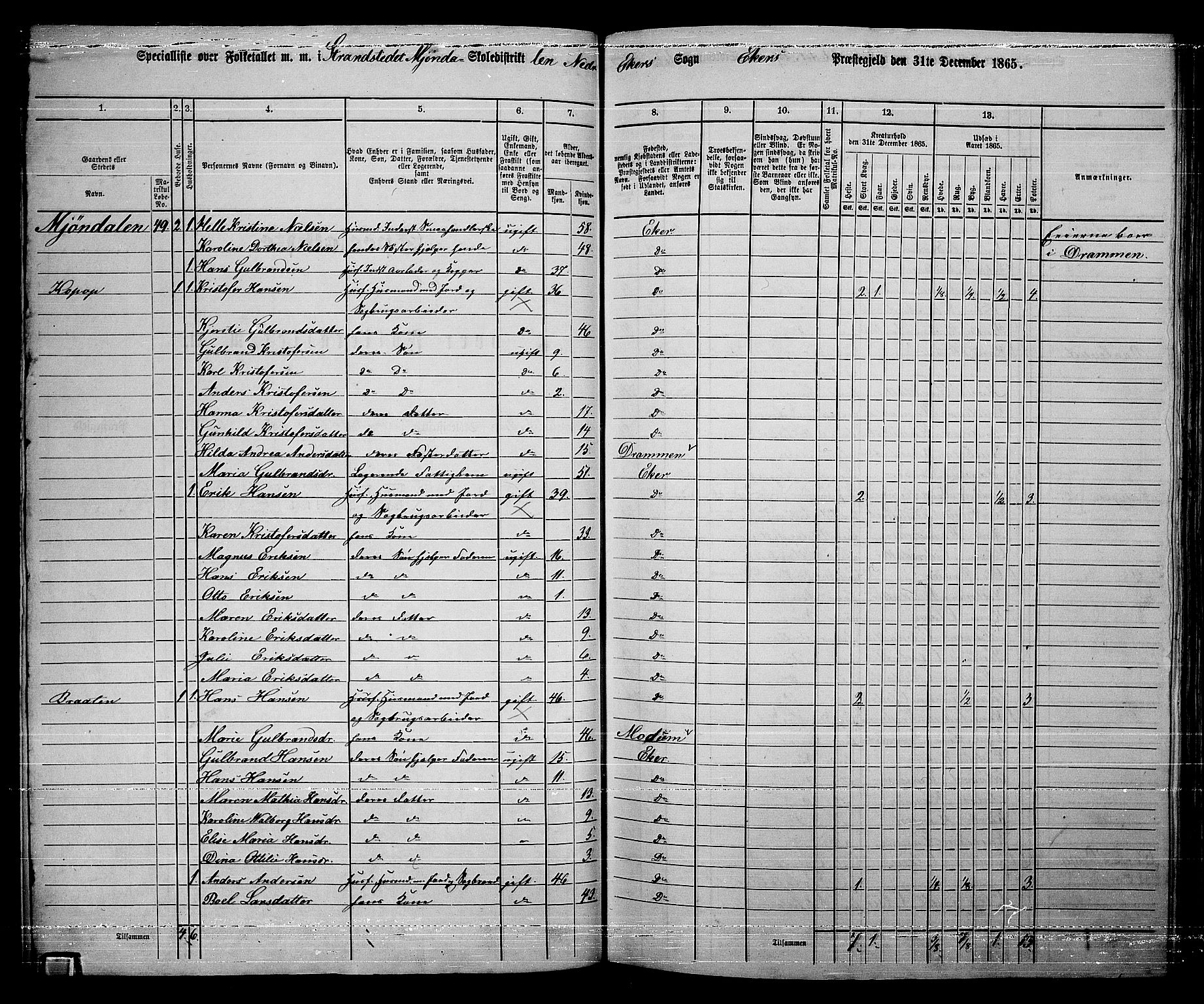 RA, 1865 census for Eiker, 1865, p. 391