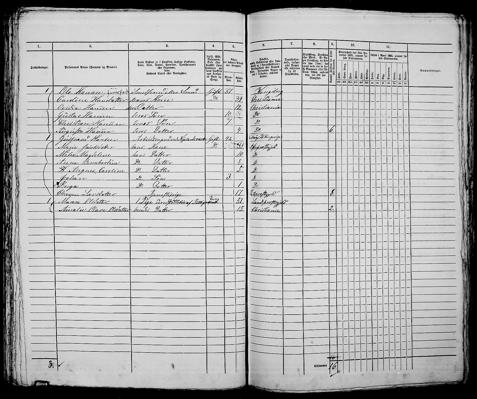 RA, 1865 census for Kristiania, 1865, p. 3917