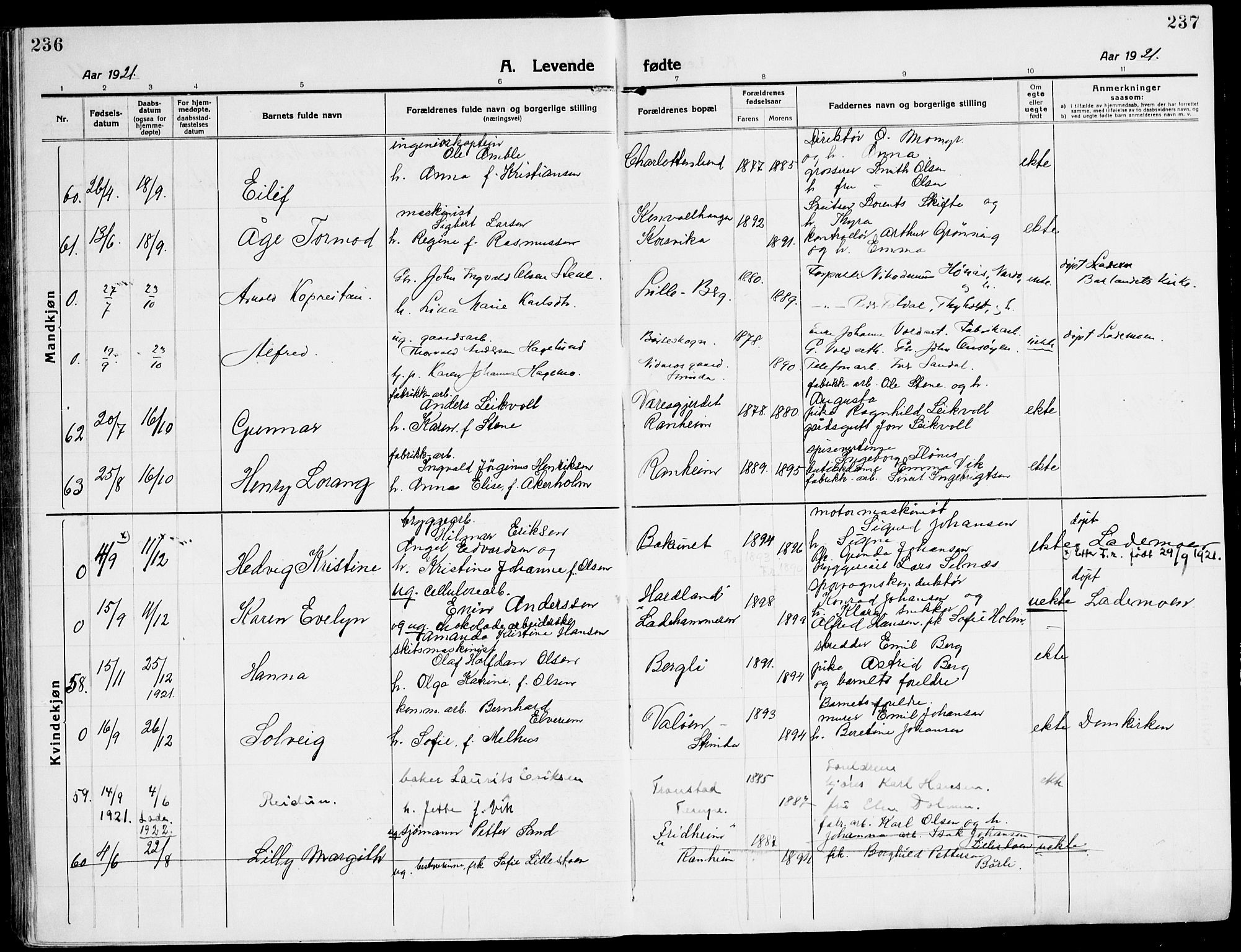 Ministerialprotokoller, klokkerbøker og fødselsregistre - Sør-Trøndelag, AV/SAT-A-1456/607/L0321: Parish register (official) no. 607A05, 1916-1935, p. 236-237