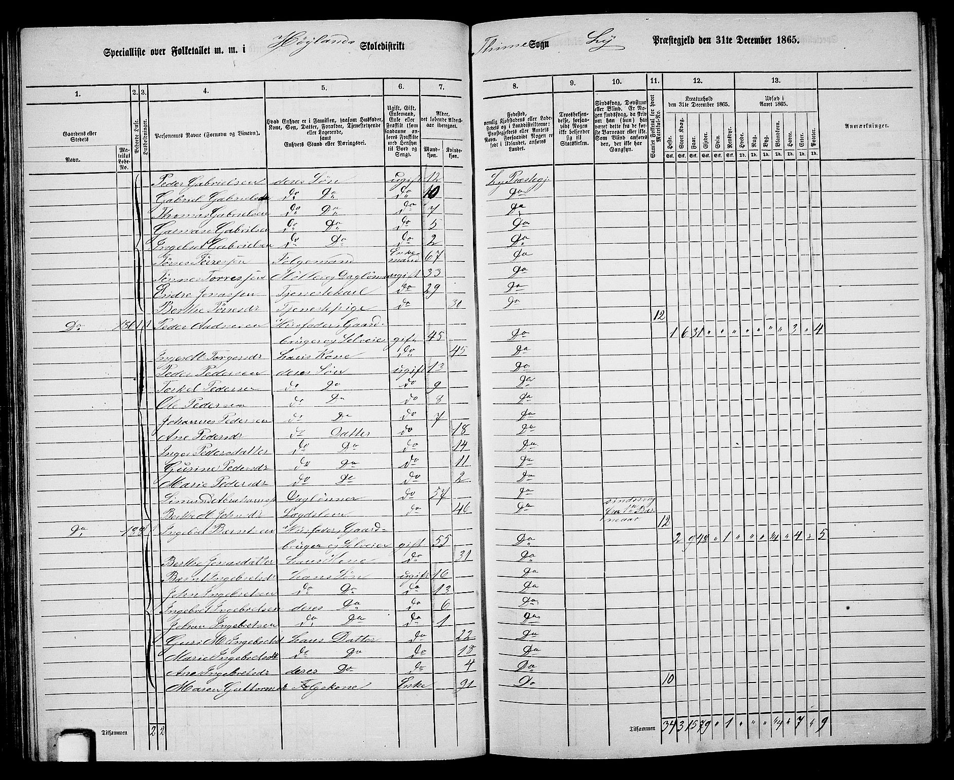 RA, 1865 census for Lye, 1865, p. 61