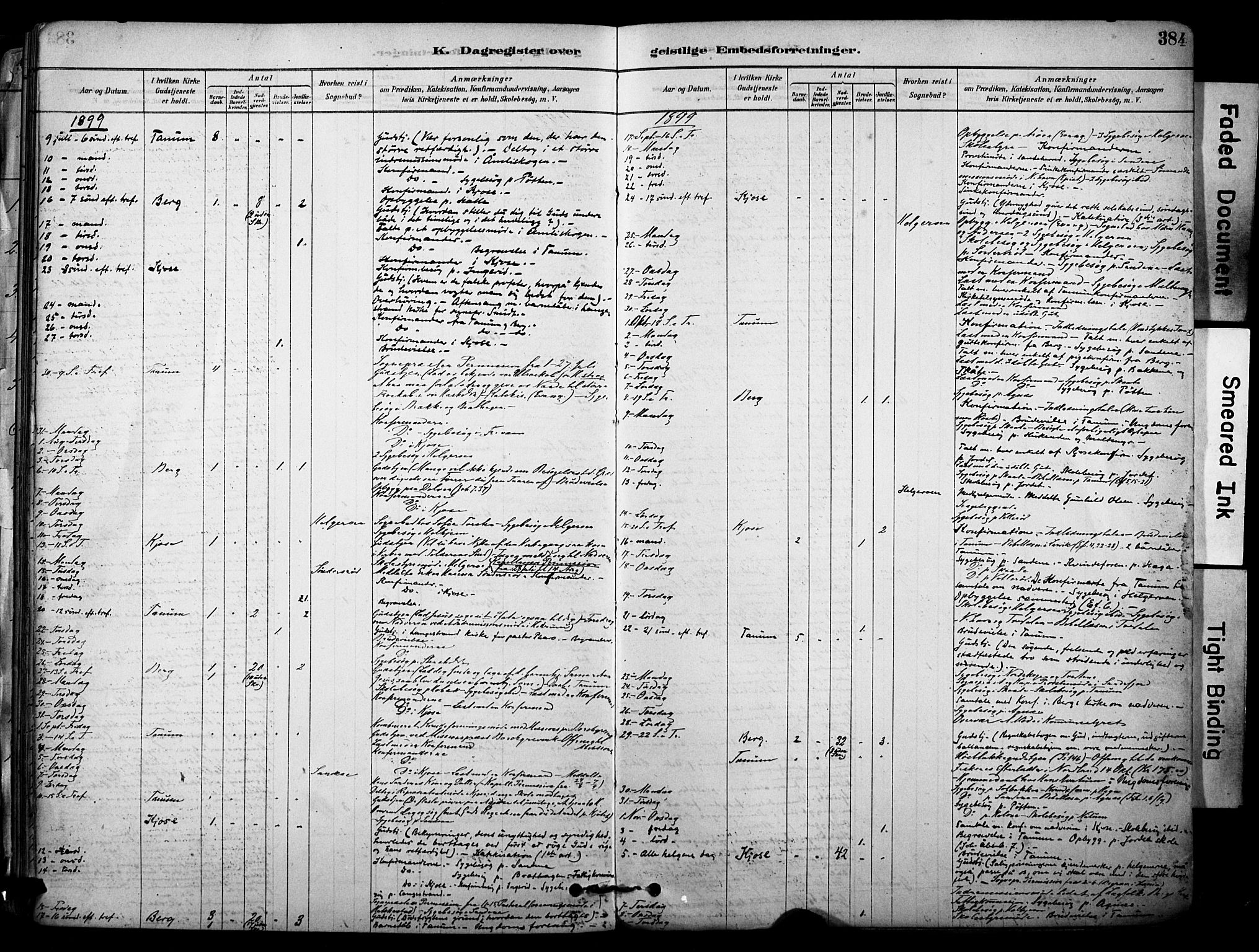 Brunlanes kirkebøker, AV/SAKO-A-342/F/Fc/L0001: Parish register (official) no. III 1, 1878-1899, p. 384