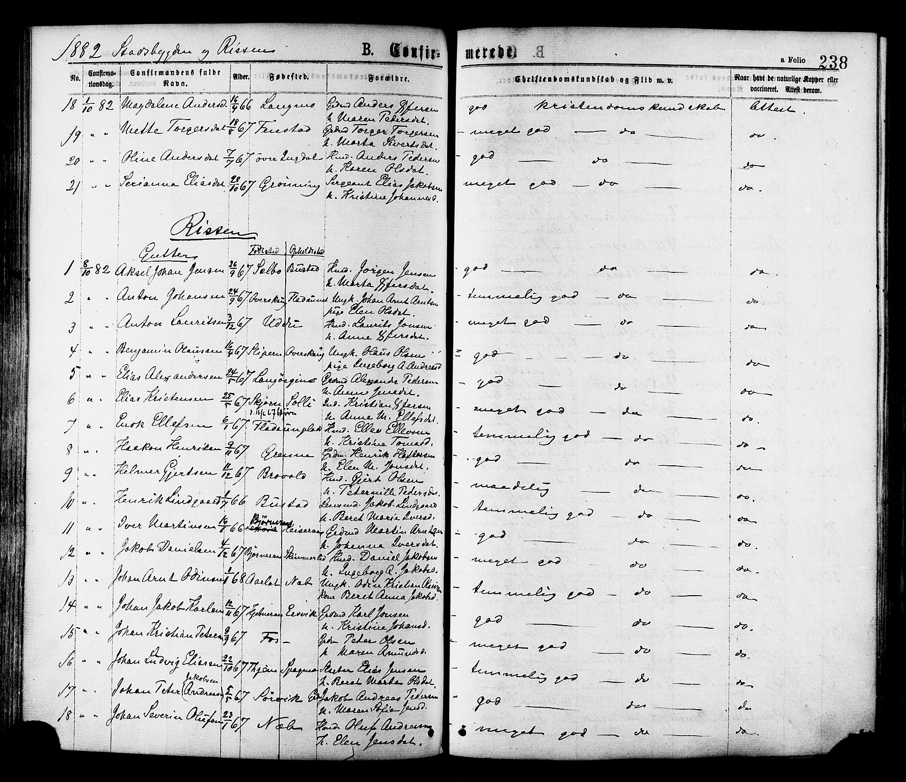 Ministerialprotokoller, klokkerbøker og fødselsregistre - Sør-Trøndelag, AV/SAT-A-1456/646/L0613: Parish register (official) no. 646A11, 1870-1884, p. 238