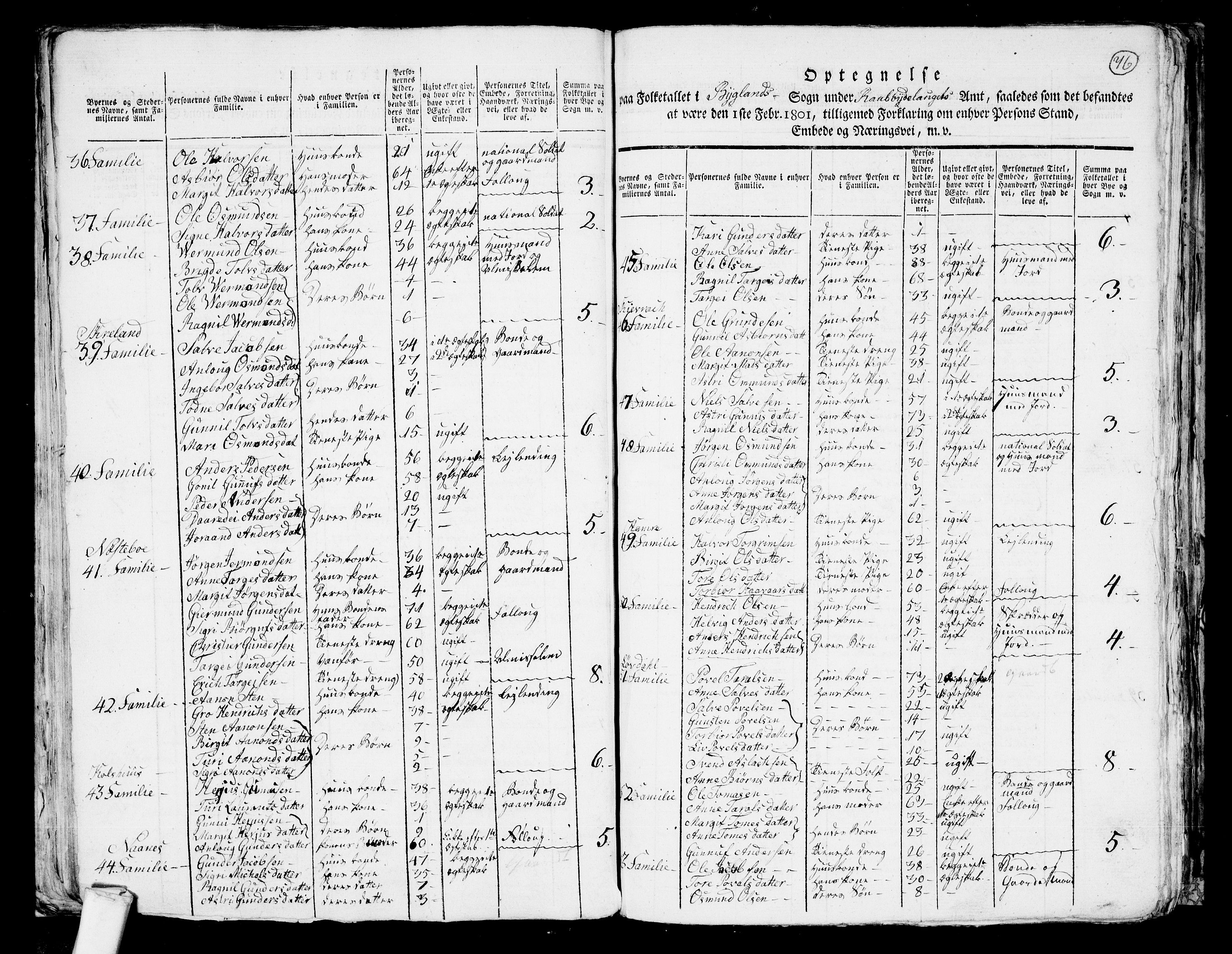 RA, 1801 census for 0938P Bygland, 1801, p. 75b-76a