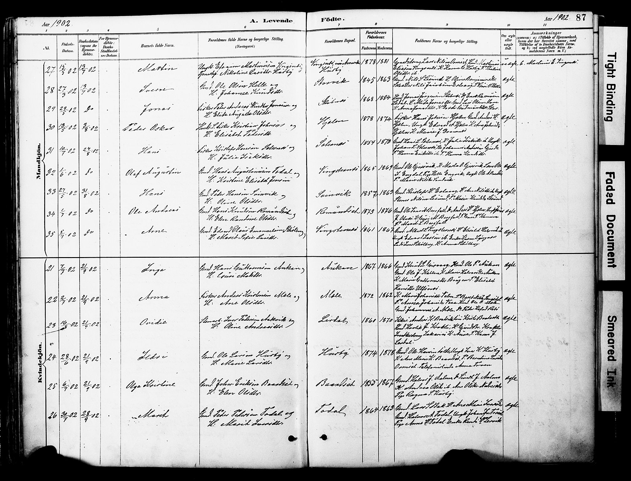 Ministerialprotokoller, klokkerbøker og fødselsregistre - Møre og Romsdal, AV/SAT-A-1454/578/L0907: Parish register (official) no. 578A06, 1887-1904, p. 87