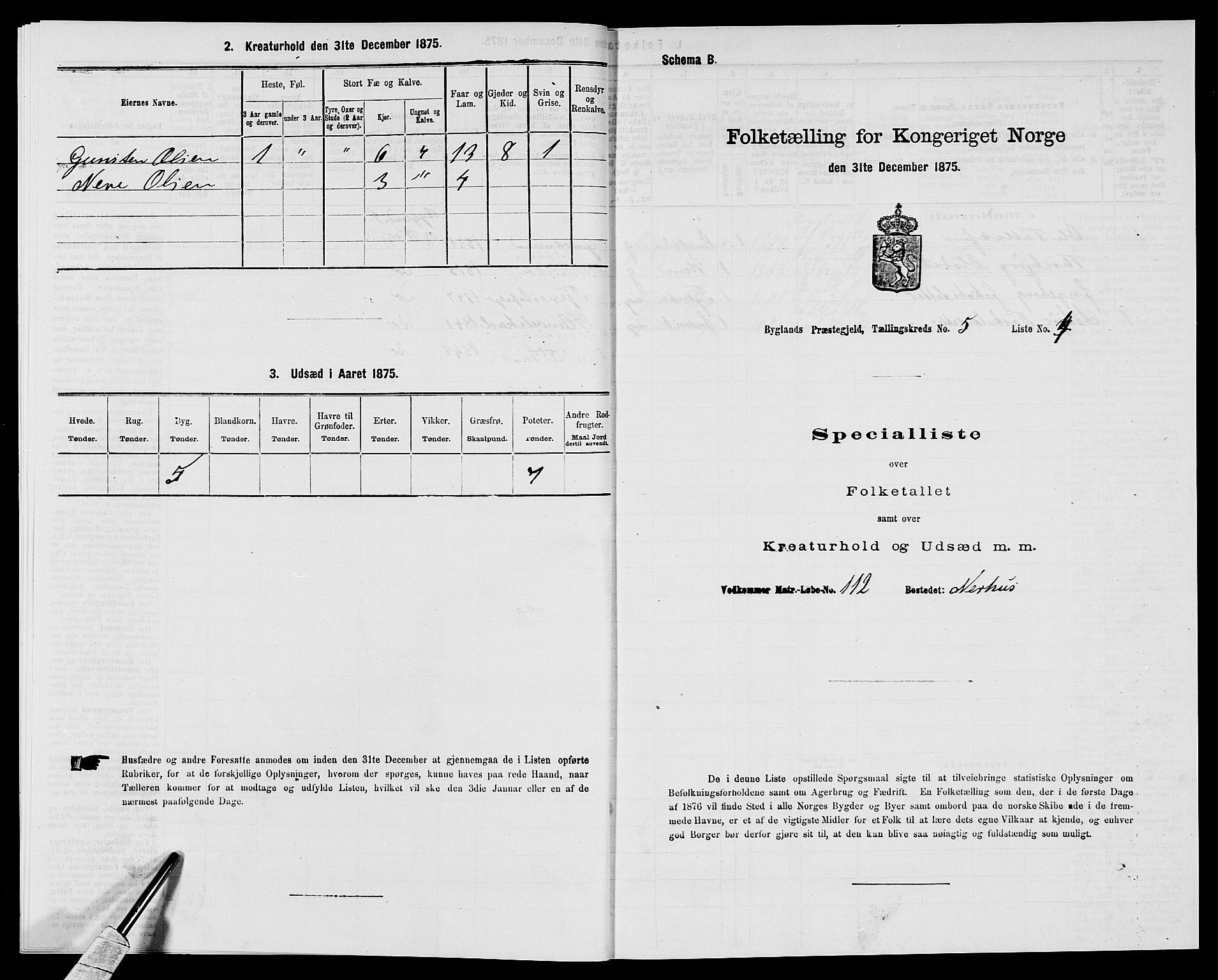 SAK, 1875 census for 0938P Bygland, 1875, p. 405