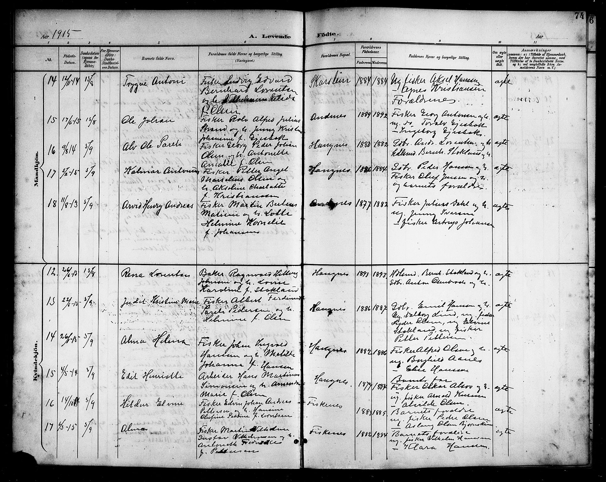 Ministerialprotokoller, klokkerbøker og fødselsregistre - Nordland, AV/SAT-A-1459/899/L1449: Parish register (copy) no. 899C04, 1900-1918, p. 74
