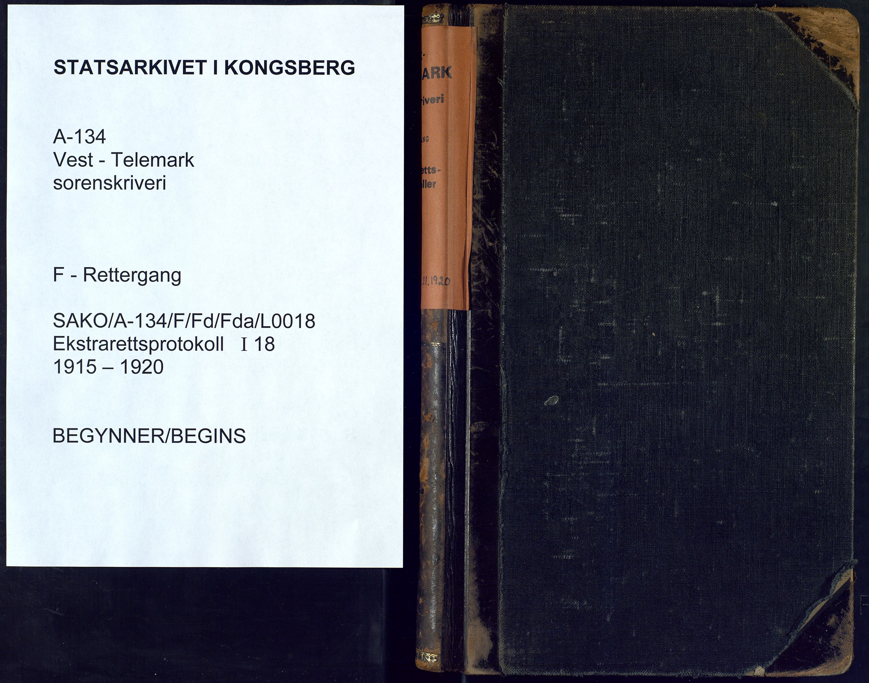 Vest-Telemark sorenskriveri, AV/SAKO-A-134/F/Fd/Fda/L0018: Ekstrarettsprotokoll, 1915-1920