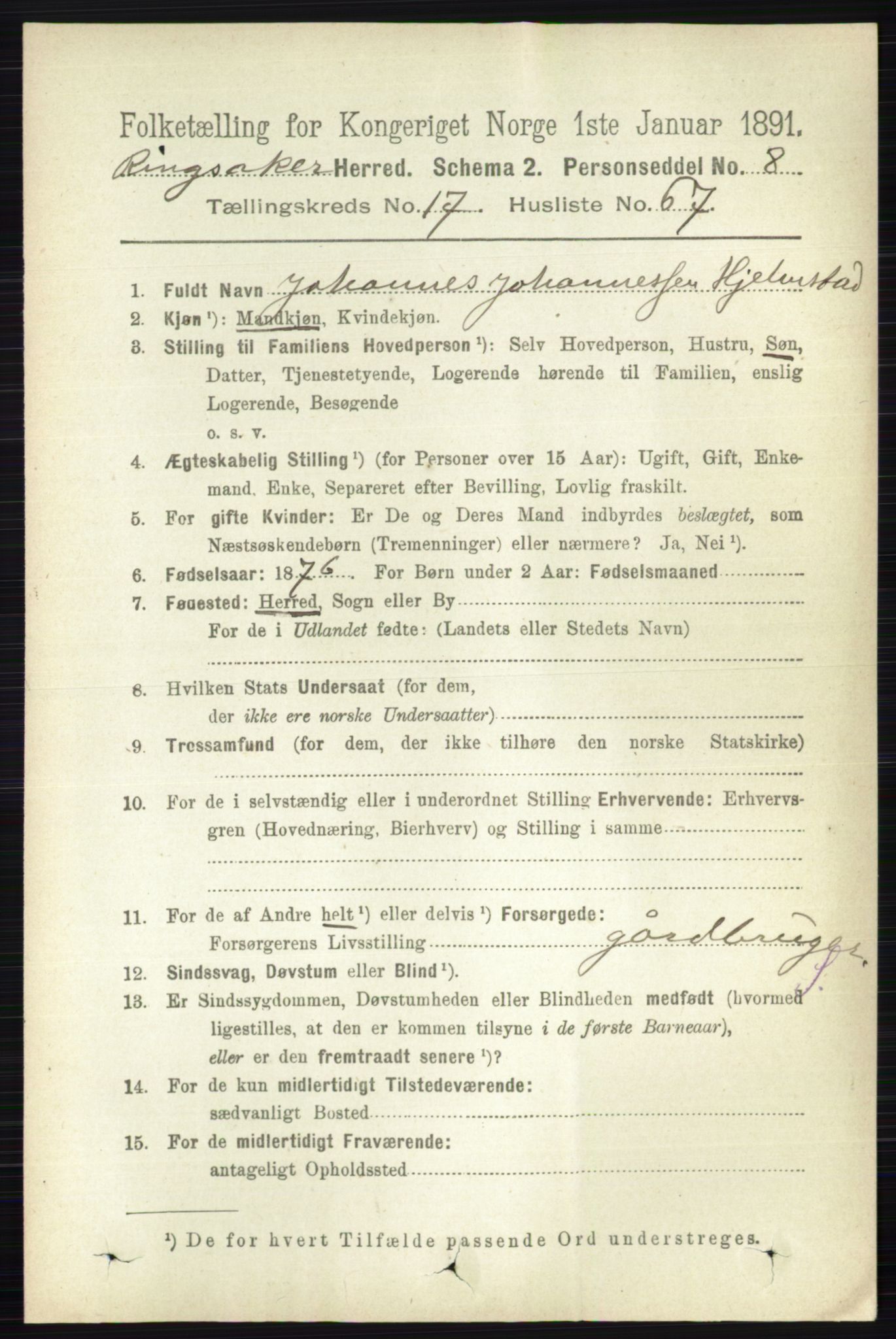 RA, 1891 census for 0412 Ringsaker, 1891, p. 10191