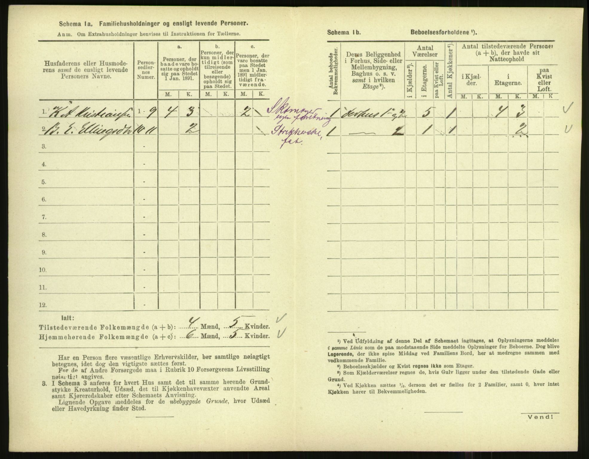 RA, 1891 census for 1003 Farsund, 1891, p. 133