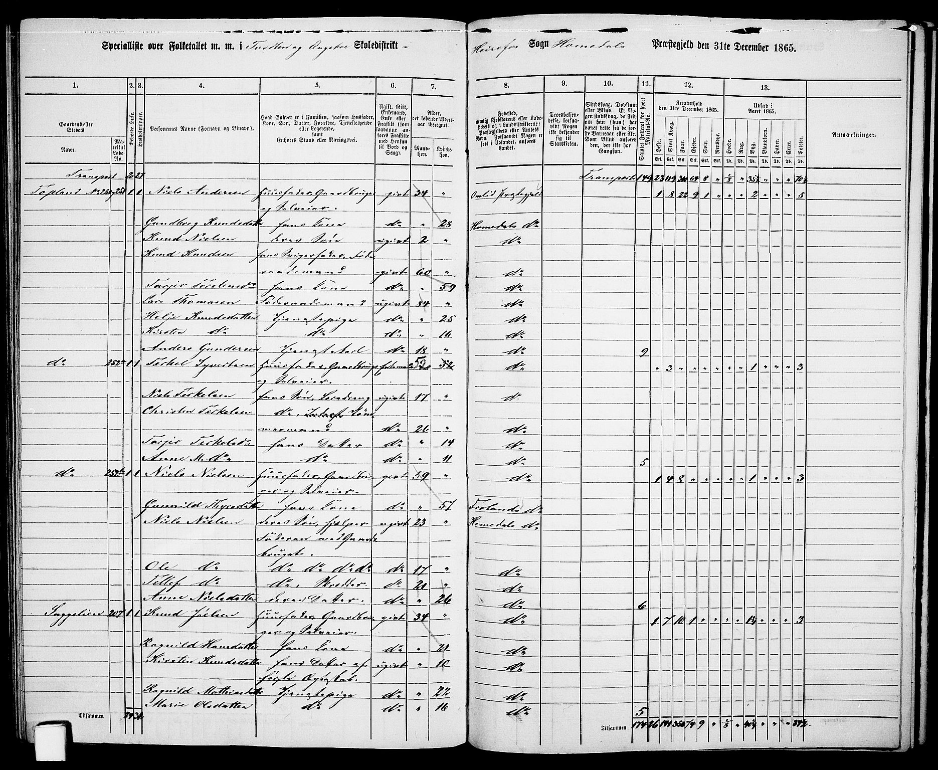 RA, 1865 census for Homedal, 1865, p. 149