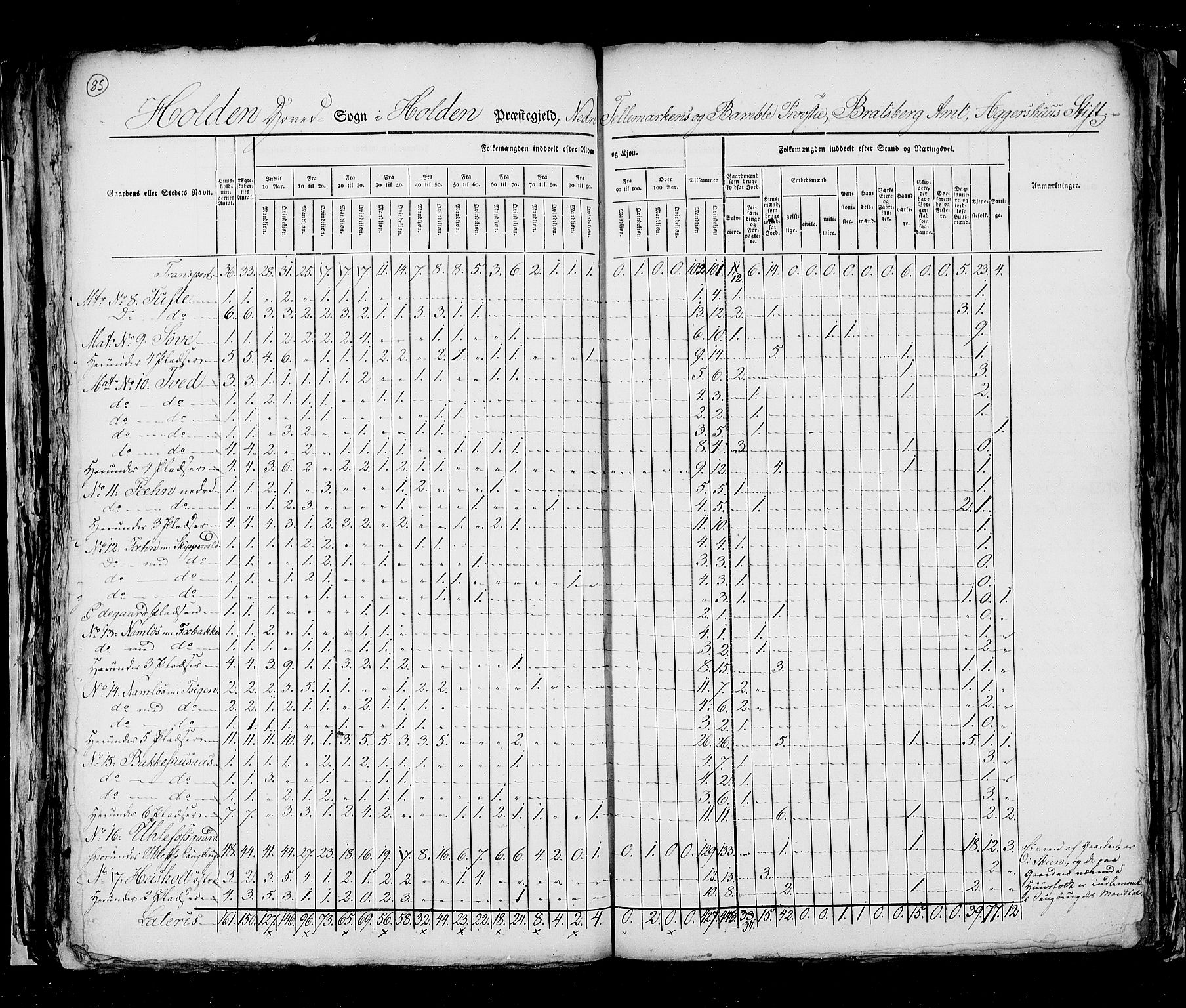 RA, Census 1825, vol. 9: Bratsberg amt, 1825, p. 85