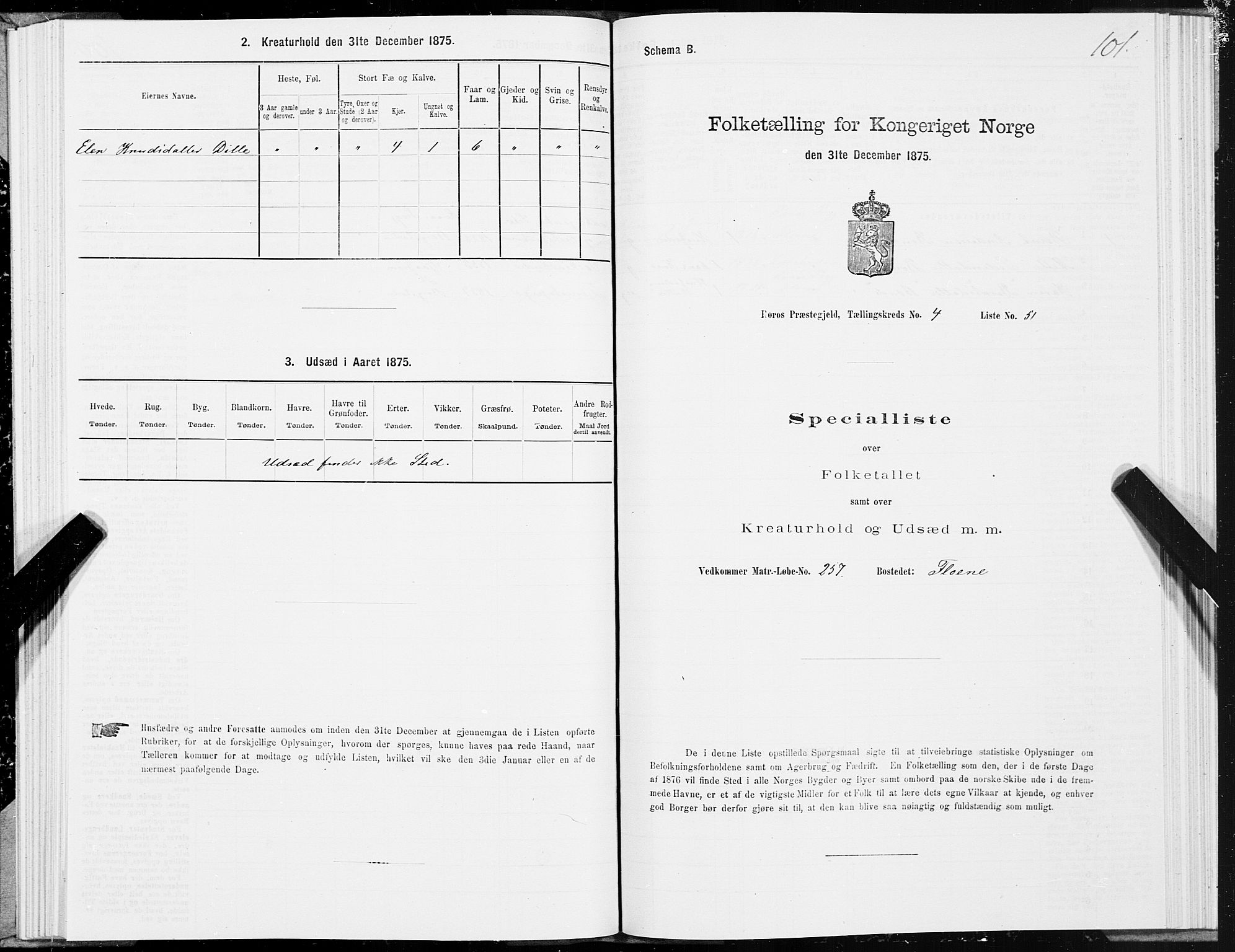 SAT, 1875 census for 1640P Røros, 1875, p. 3101