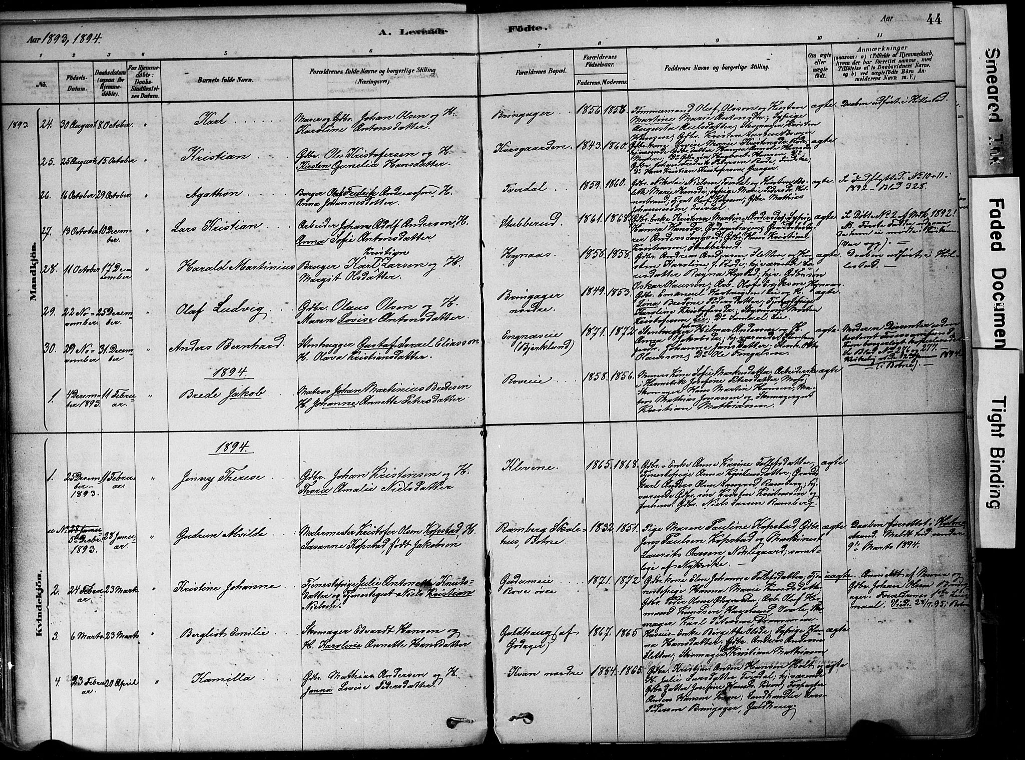 Botne kirkebøker, AV/SAKO-A-340/F/Fa/L0007: Parish register (official) no. I 7, 1878-1910, p. 44