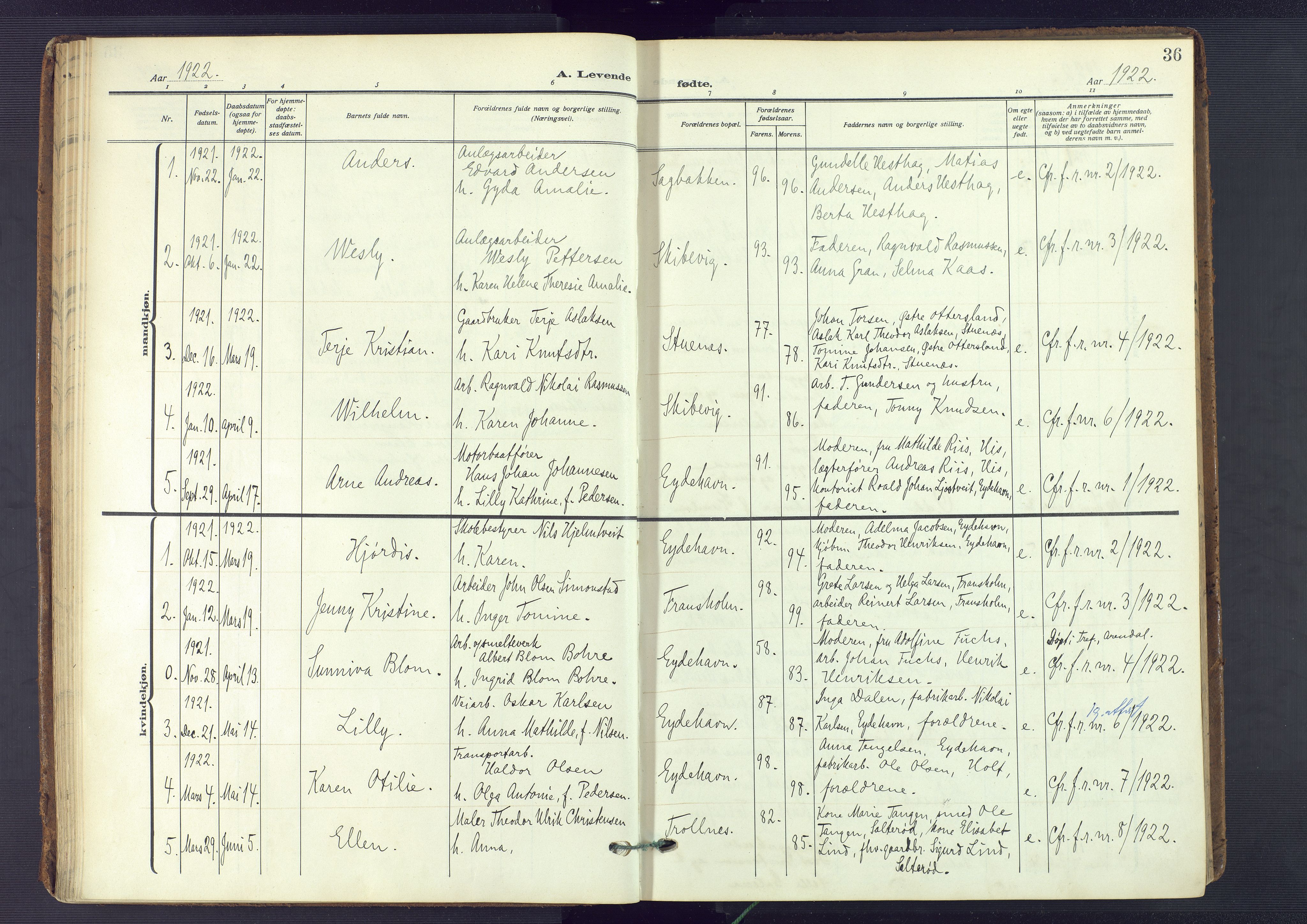 Austre Moland sokneprestkontor, SAK/1111-0001/F/Fa/Fab/L0003: Parish register (official) no. A 3, 1914-1927, p. 36
