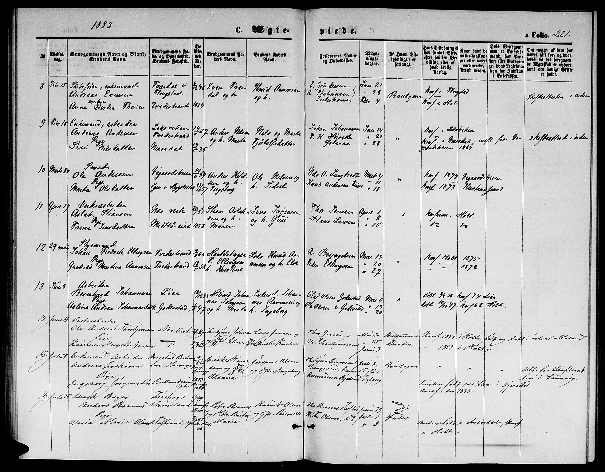 Holt sokneprestkontor, AV/SAK-1111-0021/F/Fb/L0009: Parish register (copy) no. B 9, 1871-1883, p. 221