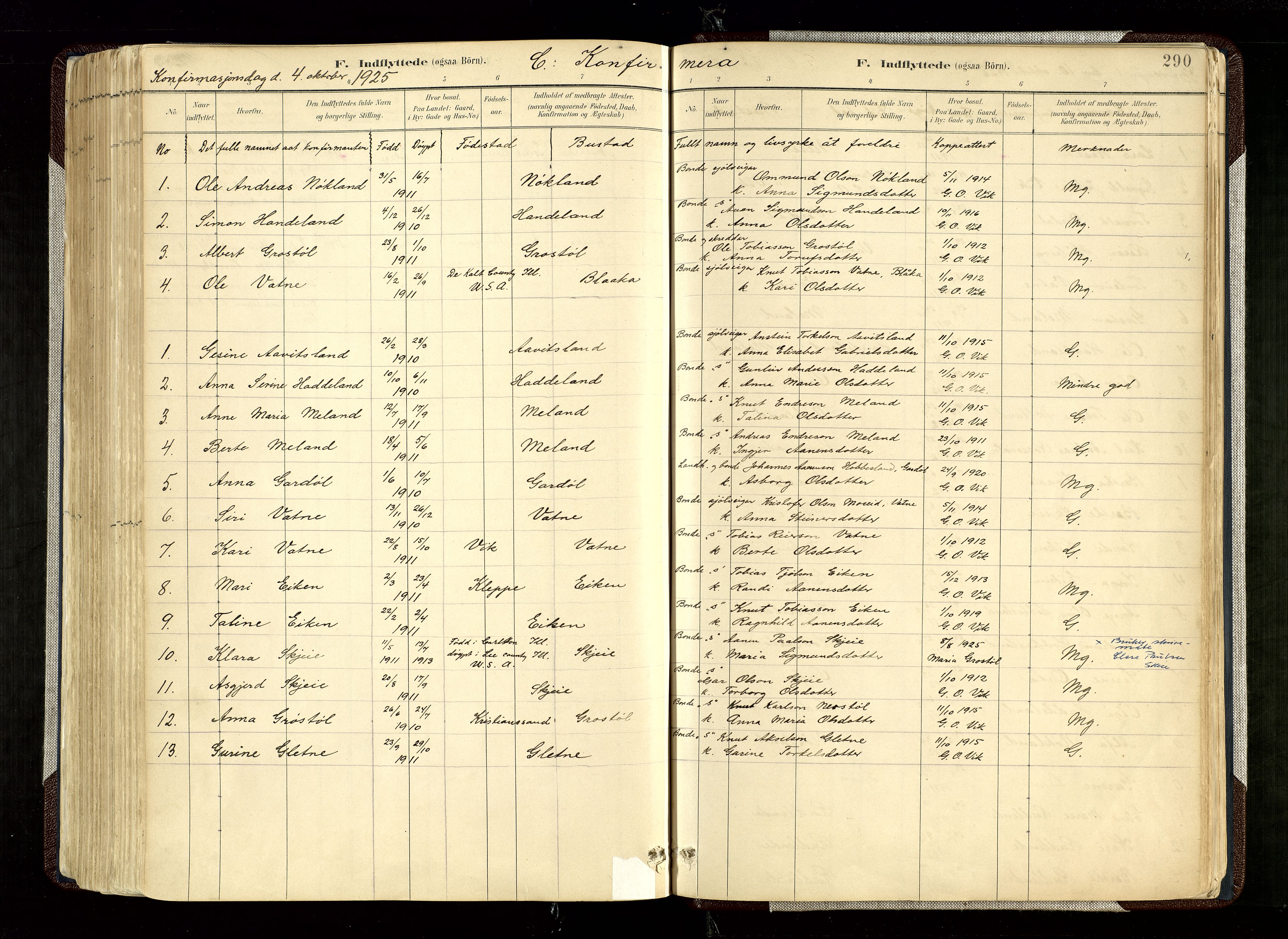 Hægebostad sokneprestkontor, SAK/1111-0024/F/Fa/Fab/L0004: Parish register (official) no. A 4, 1887-1929, p. 290