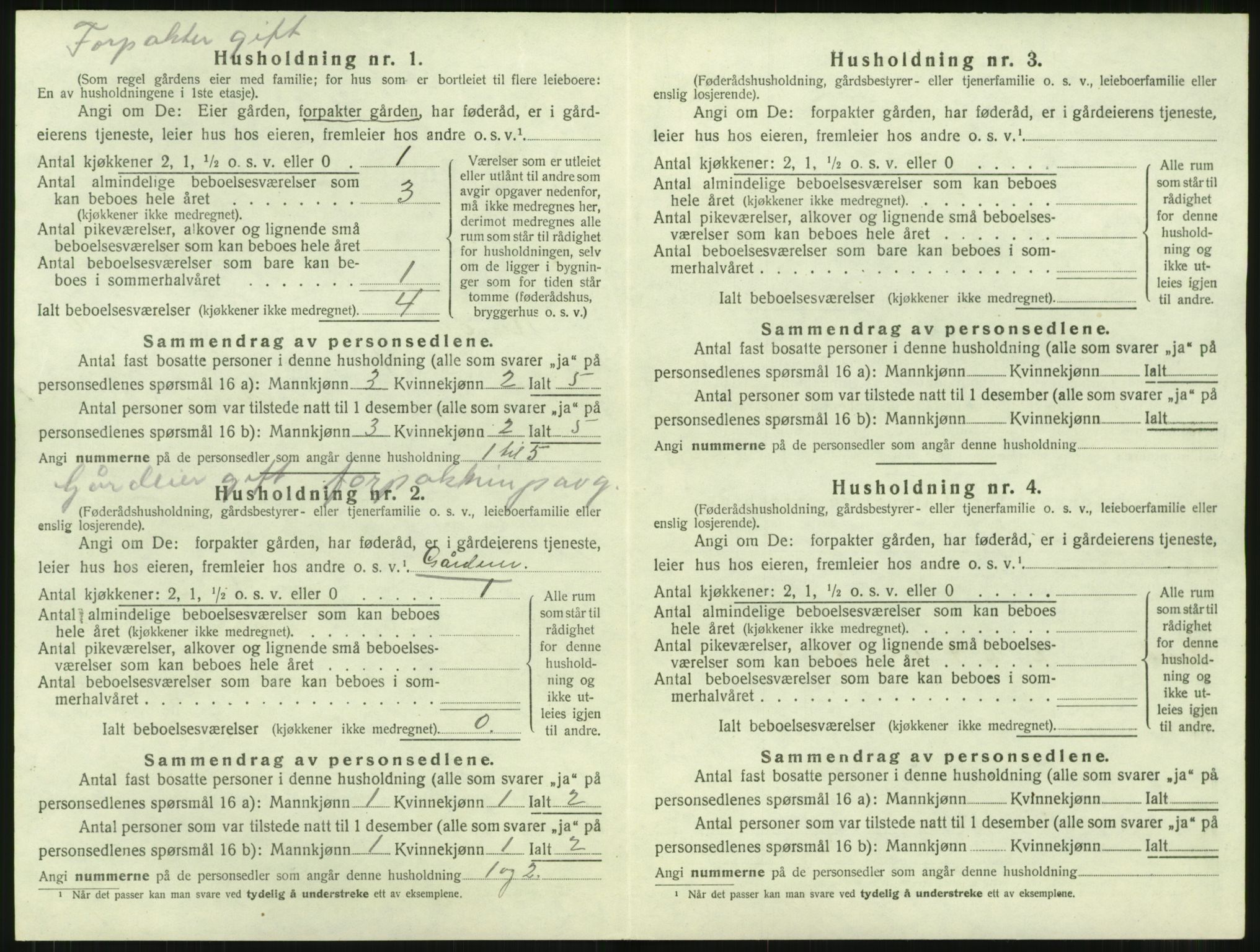 SAT, 1920 census for Rindal, 1920, p. 819