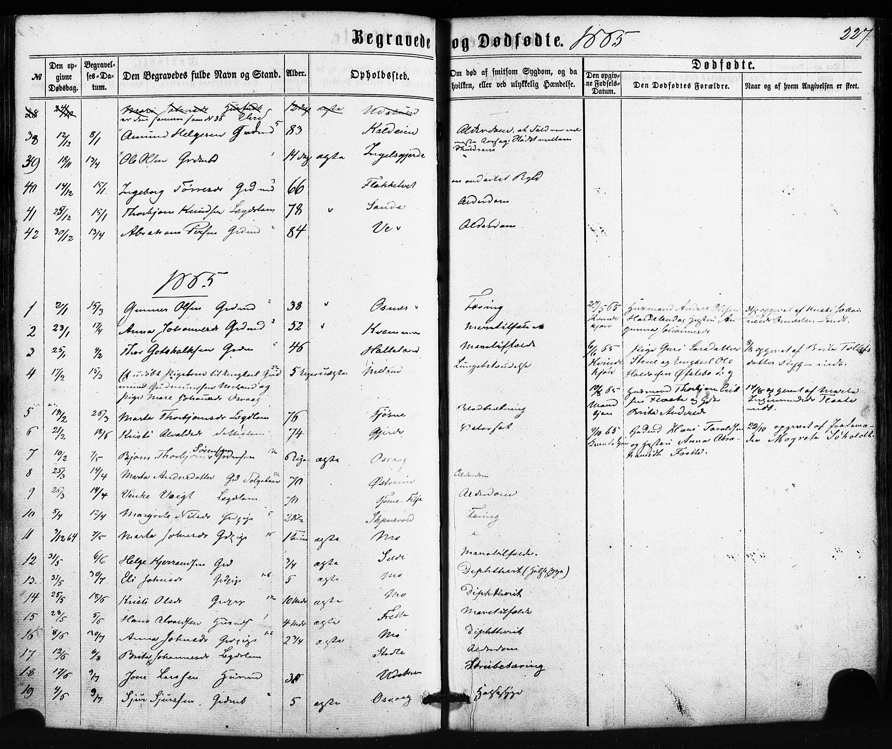 Etne sokneprestembete, AV/SAB-A-75001/H/Haa: Parish register (official) no. A 9, 1862-1878, p. 227