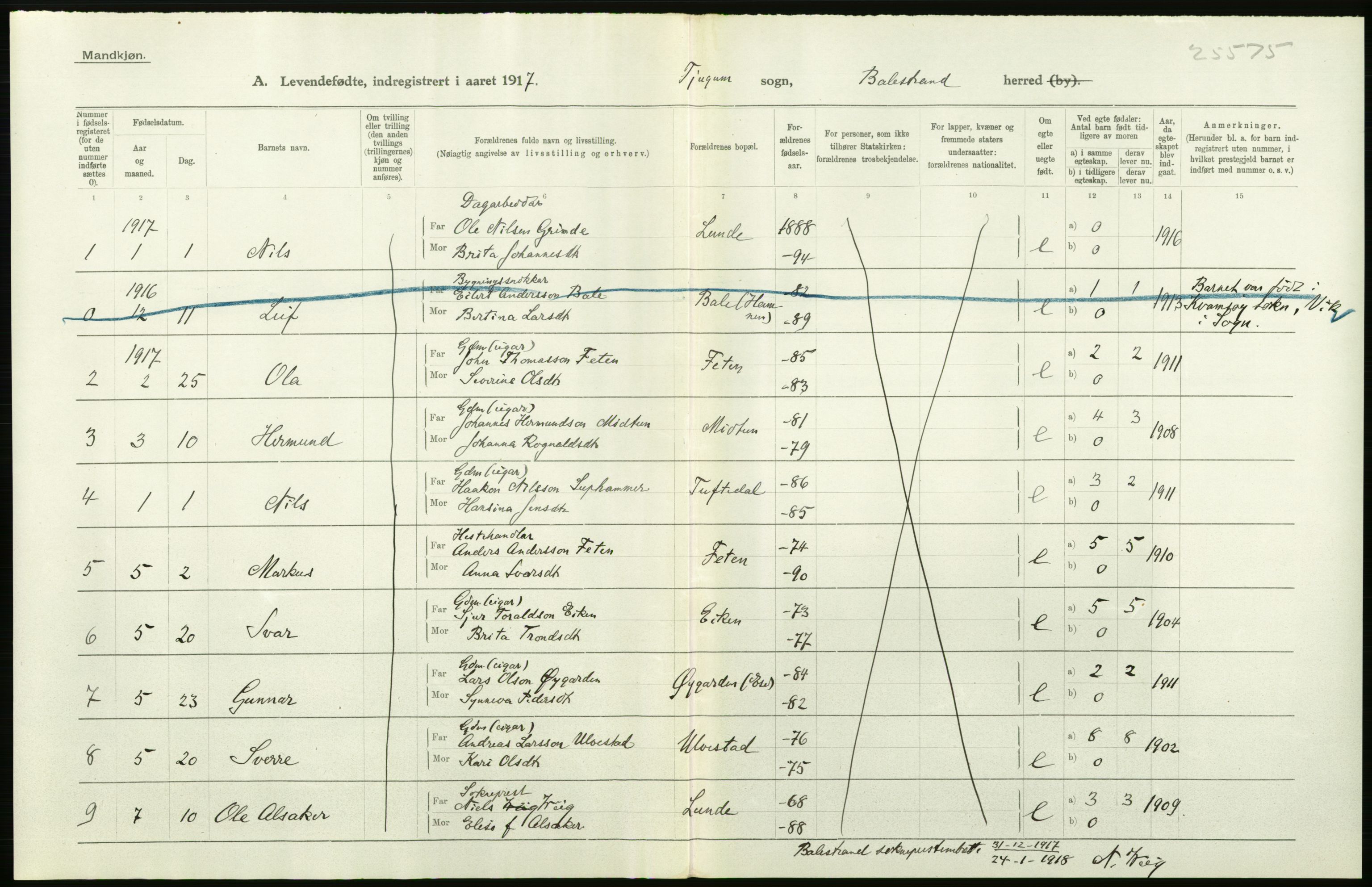 Statistisk sentralbyrå, Sosiodemografiske emner, Befolkning, RA/S-2228/D/Df/Dfb/Dfbg/L0039: N. Bergenhus amt: Levendefødte menn og kvinner. Bygder., 1917, p. 2