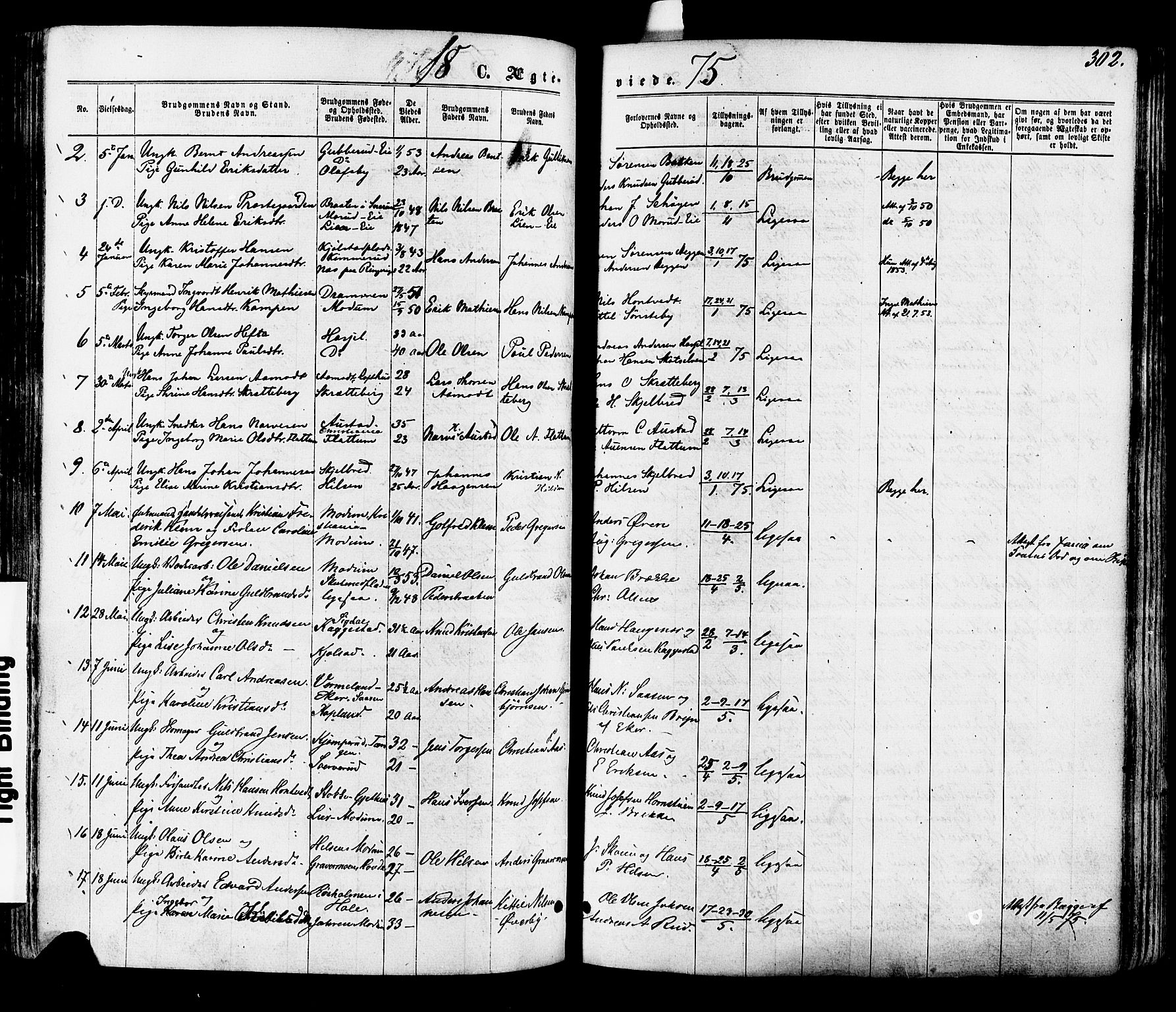 Modum kirkebøker, AV/SAKO-A-234/F/Fa/L0010: Parish register (official) no. 10, 1865-1876, p. 302