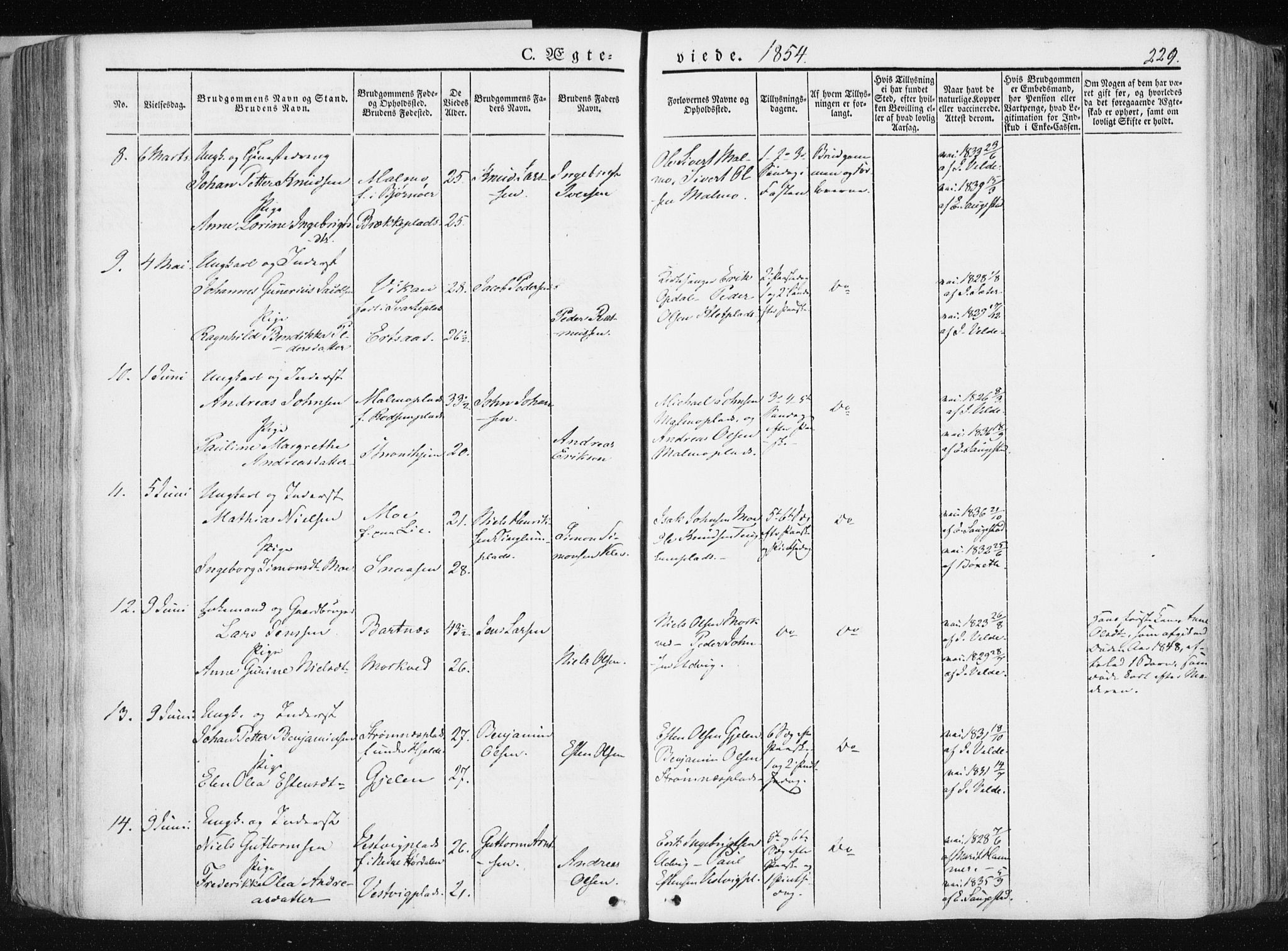 Ministerialprotokoller, klokkerbøker og fødselsregistre - Nord-Trøndelag, SAT/A-1458/741/L0393: Parish register (official) no. 741A07, 1849-1863, p. 229