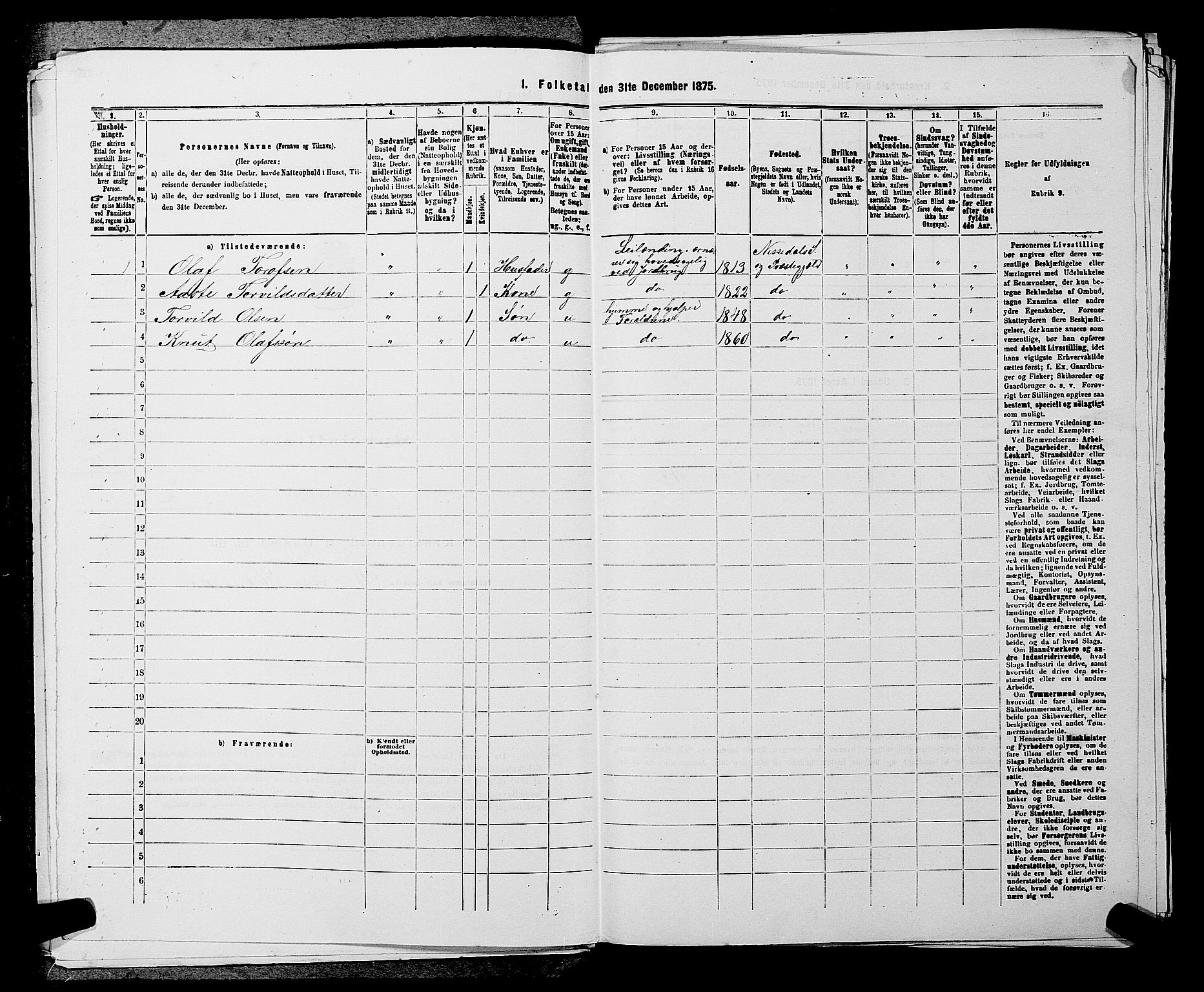 SAKO, 1875 census for 0830P Nissedal, 1875, p. 290