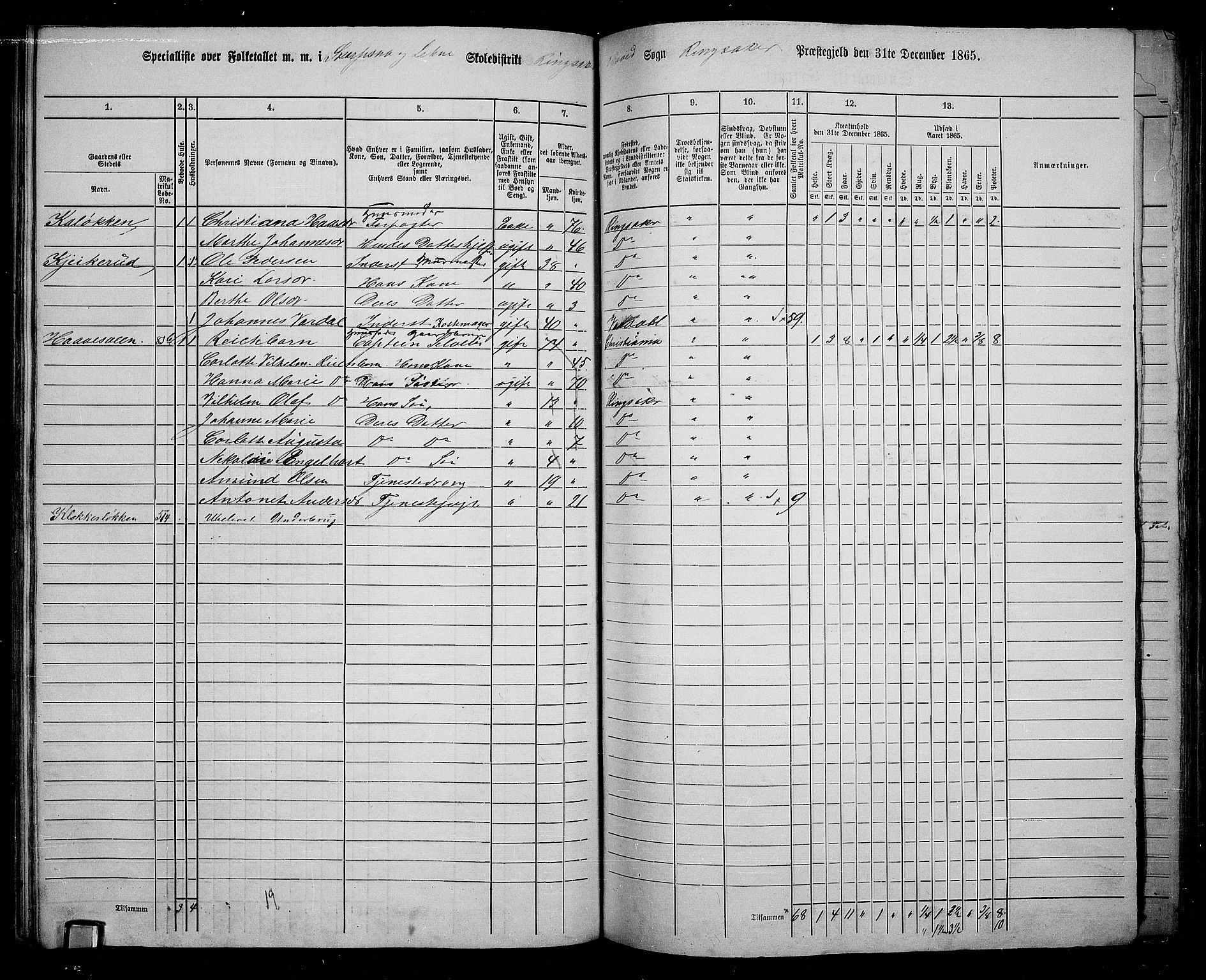 RA, 1865 census for Ringsaker, 1865, p. 150