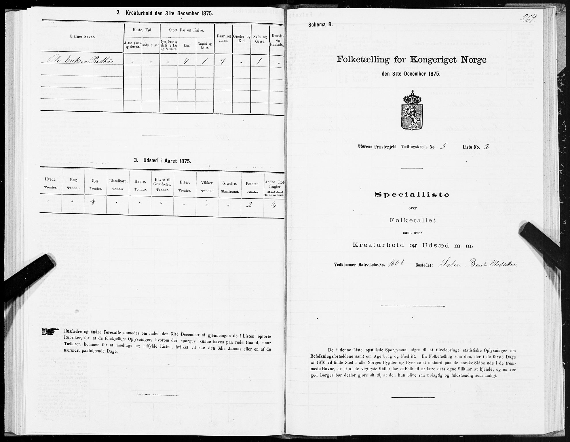 SAT, 1875 census for 1648P Støren, 1875, p. 8269