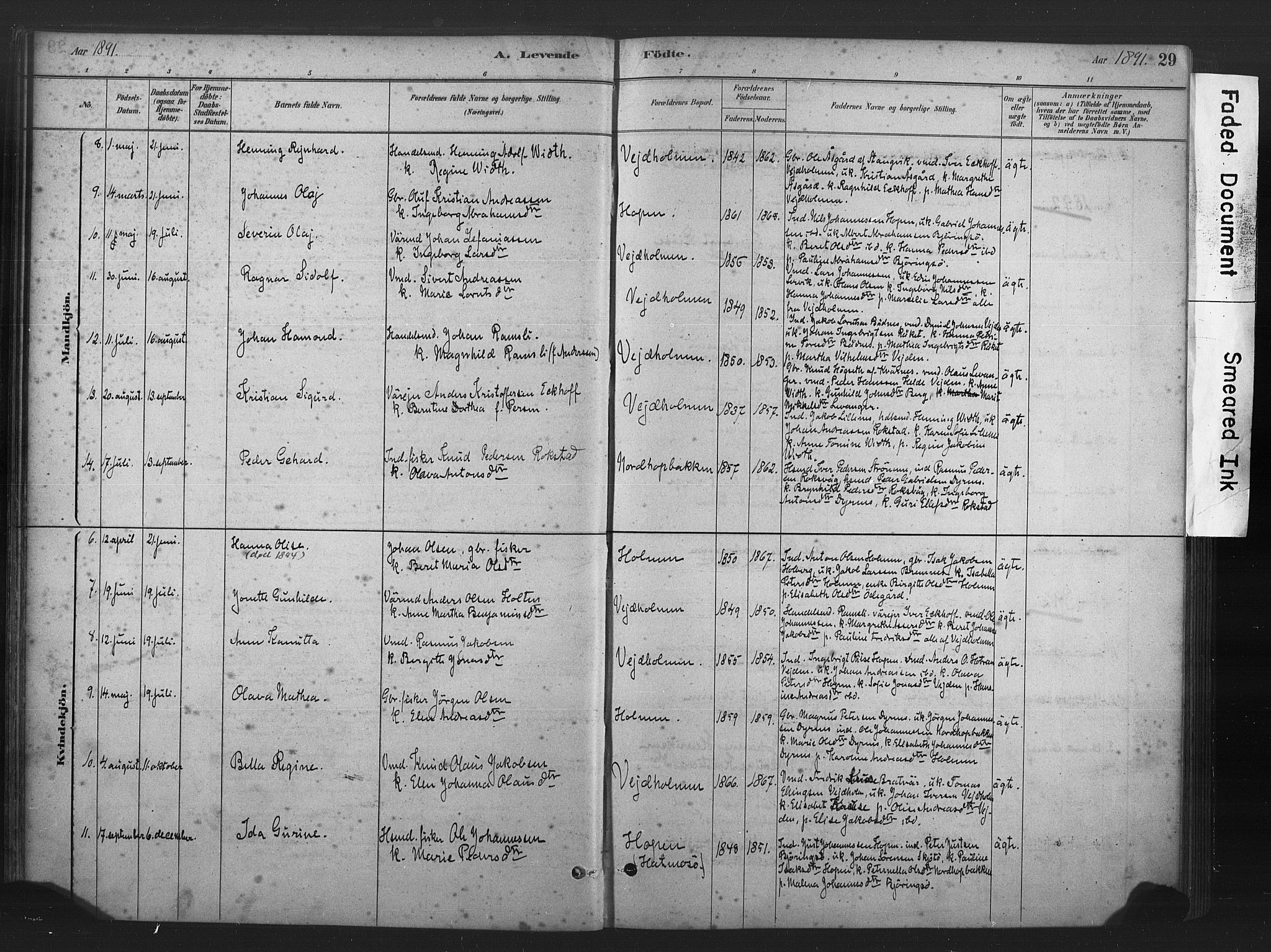 Ministerialprotokoller, klokkerbøker og fødselsregistre - Møre og Romsdal, AV/SAT-A-1454/583/L0954: Parish register (official) no. 583A01, 1880-1906, p. 29