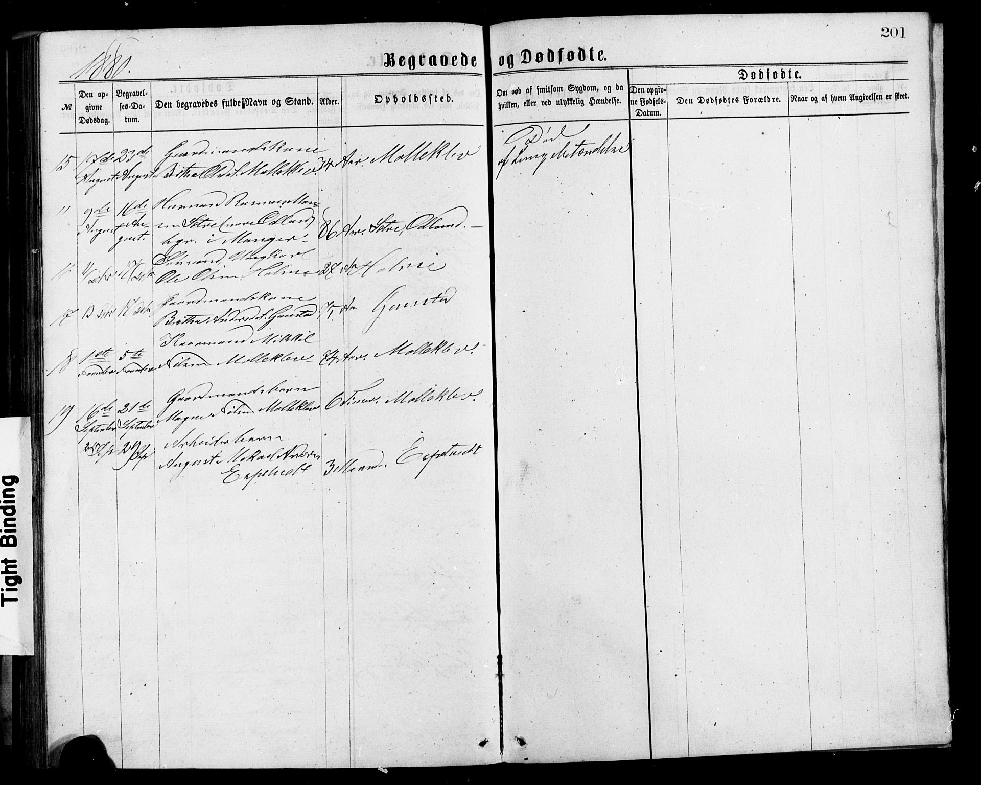 Alversund Sokneprestembete, SAB/A-73901/H/Ha/Hab: Parish register (copy) no. C 2, 1867-1880, p. 201