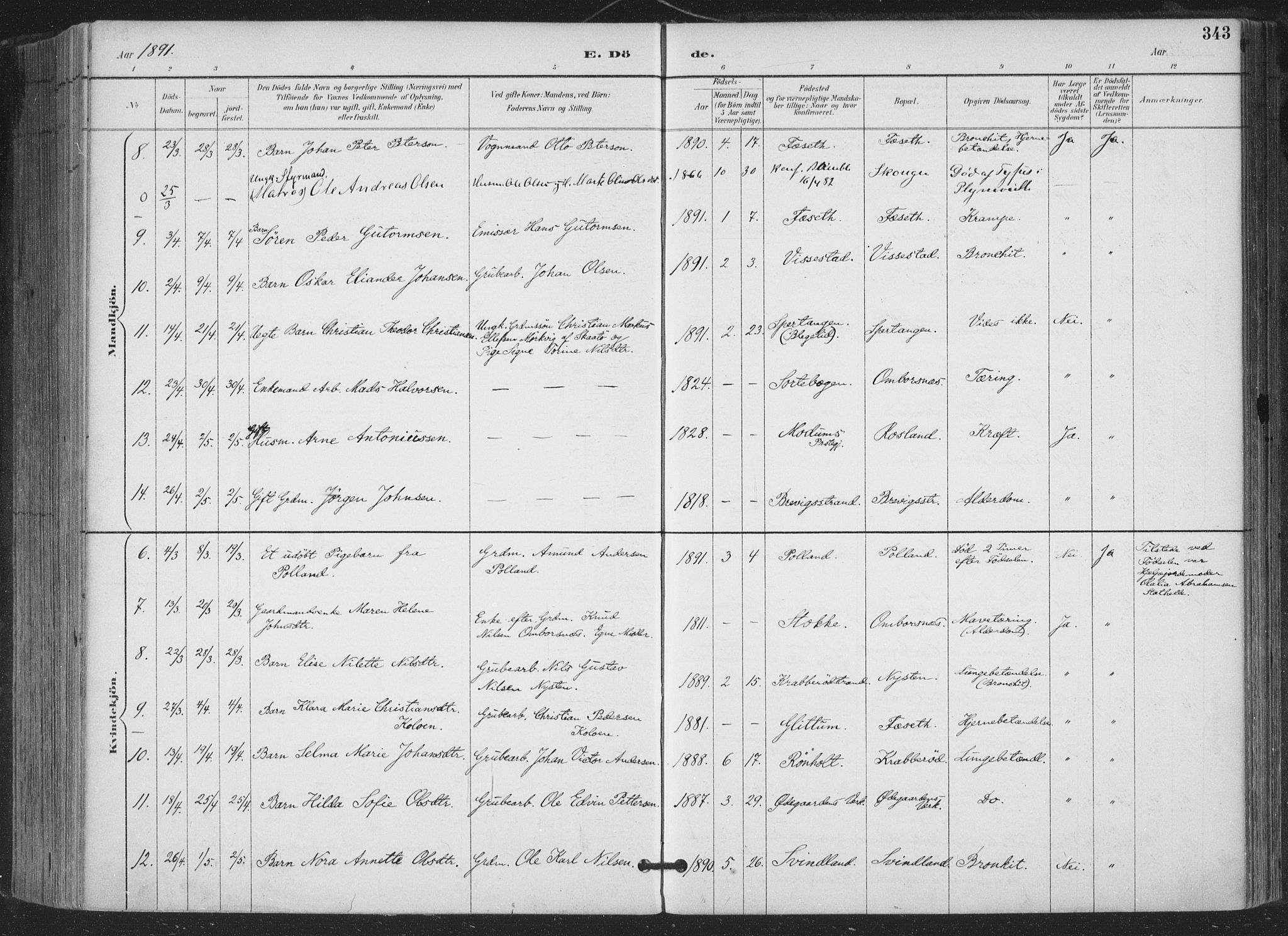 Bamble kirkebøker, AV/SAKO-A-253/F/Fa/L0008: Parish register (official) no. I 8, 1888-1900, p. 343