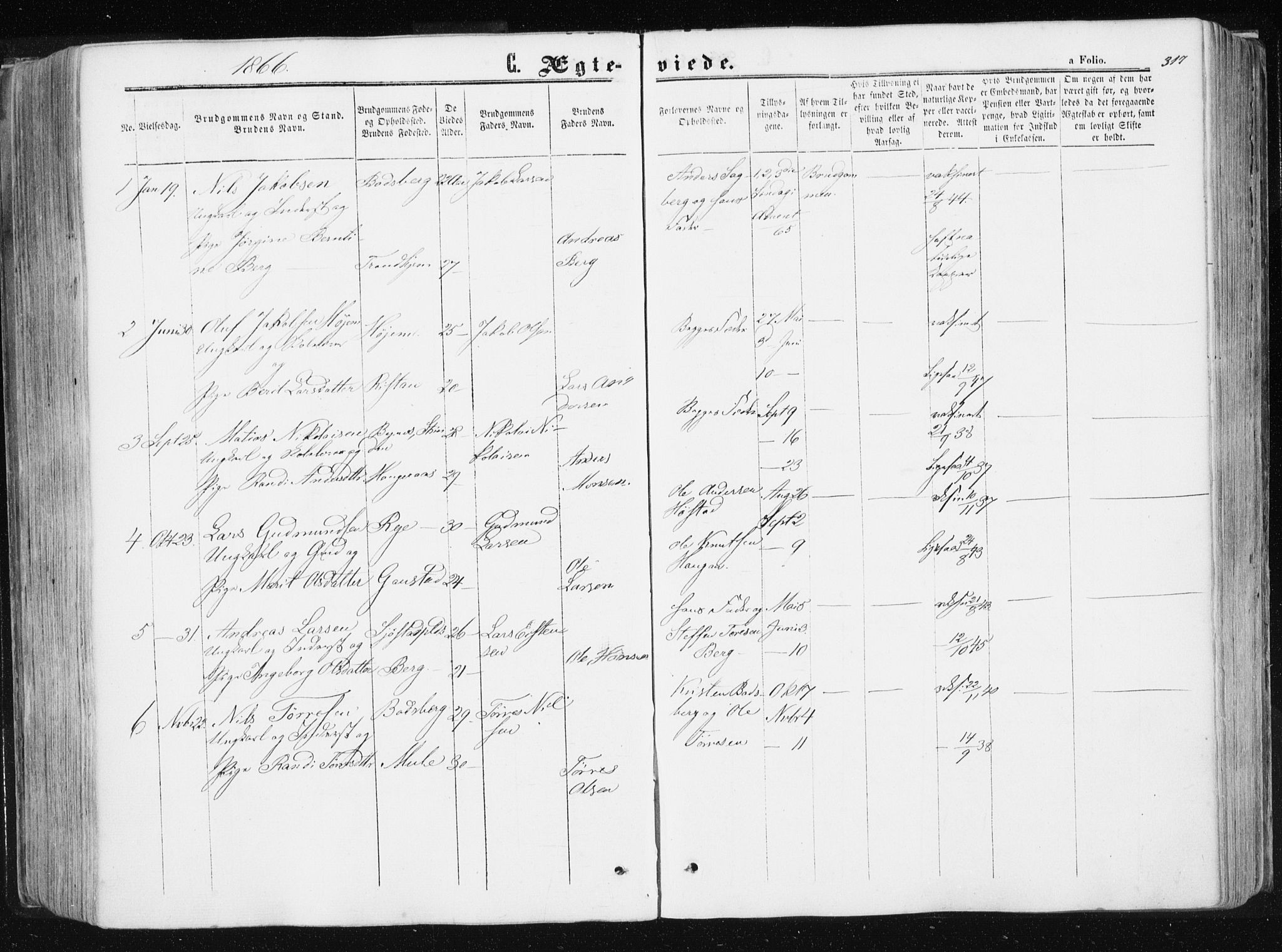 Ministerialprotokoller, klokkerbøker og fødselsregistre - Sør-Trøndelag, SAT/A-1456/612/L0377: Parish register (official) no. 612A09, 1859-1877, p. 317