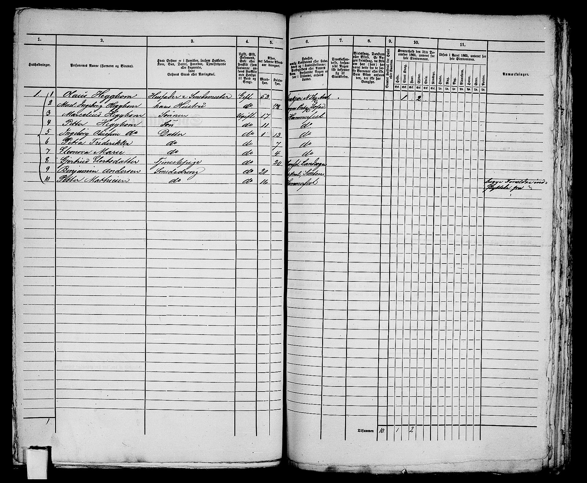 RA, 1865 census for Hammerfest/Hammerfest, 1865, p. 230