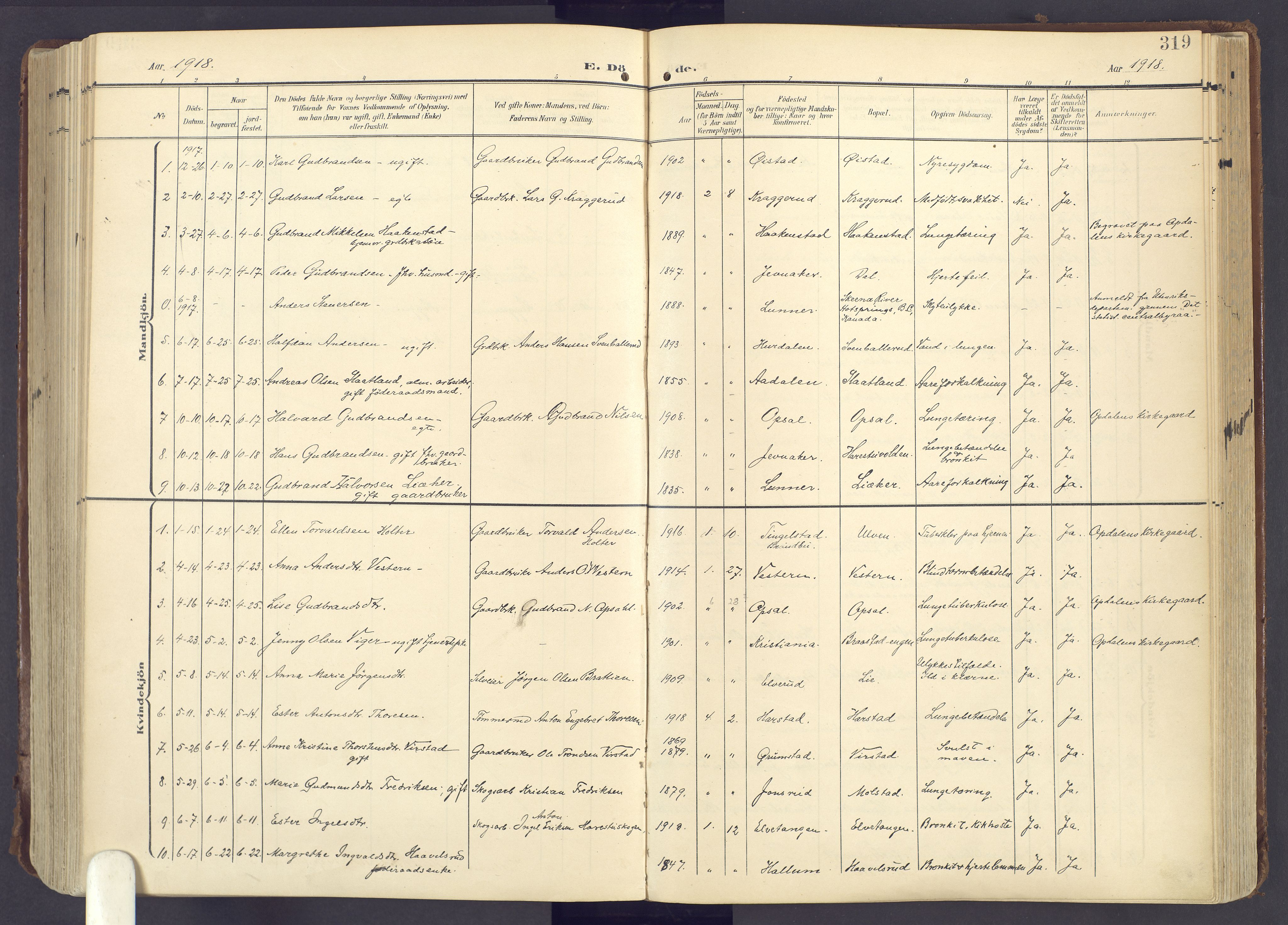 Lunner prestekontor, SAH/PREST-118/H/Ha/Haa/L0001: Parish register (official) no. 1, 1907-1922, p. 319