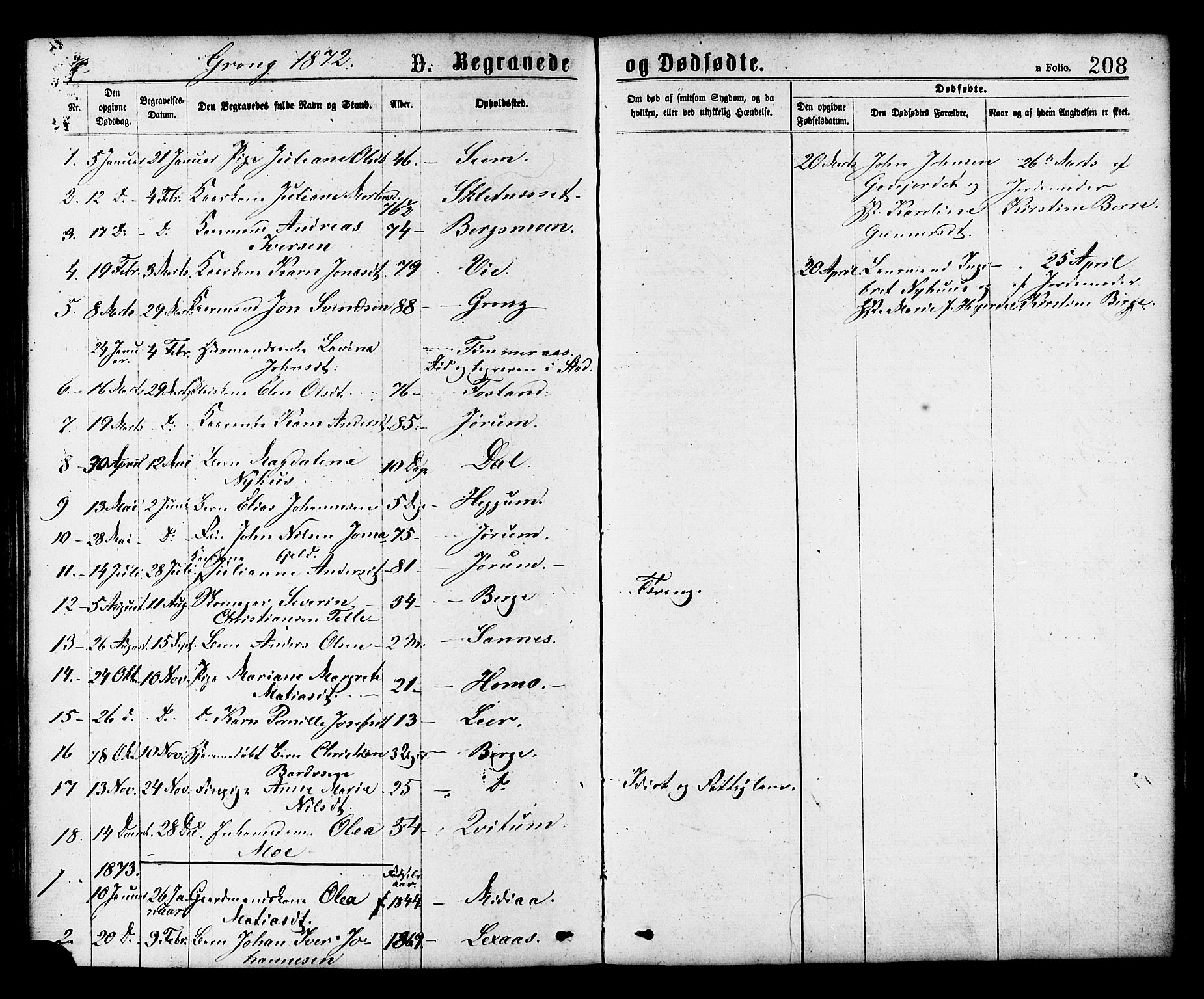 Ministerialprotokoller, klokkerbøker og fødselsregistre - Nord-Trøndelag, SAT/A-1458/758/L0516: Parish register (official) no. 758A03 /1, 1869-1879, p. 208