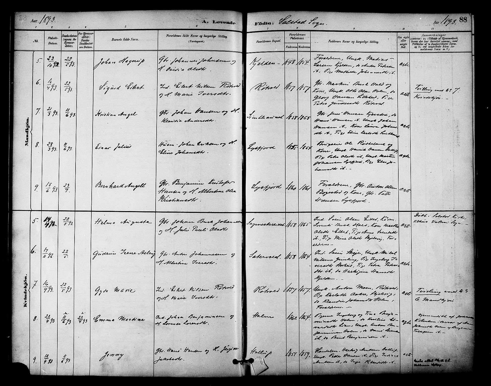 Ministerialprotokoller, klokkerbøker og fødselsregistre - Nordland, AV/SAT-A-1459/810/L0151: Parish register (official) no. 810A10 /2, 1885-1895, p. 88