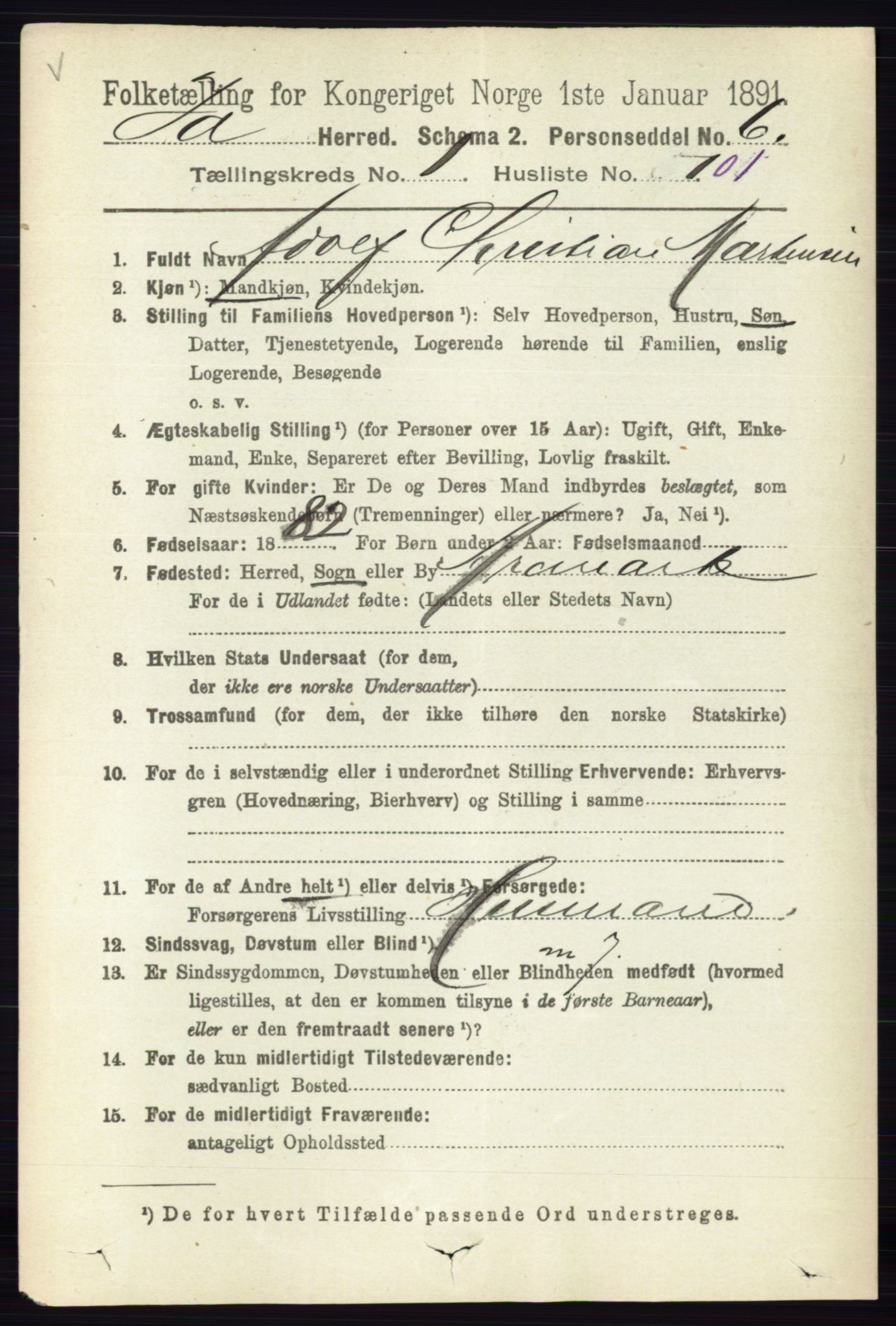 RA, 1891 census for 0117 Idd, 1891, p. 1036