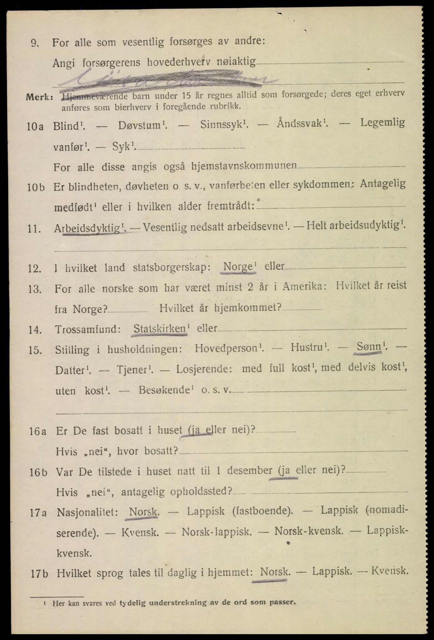 SAT, 1920 census for Borge, 1920, p. 9414