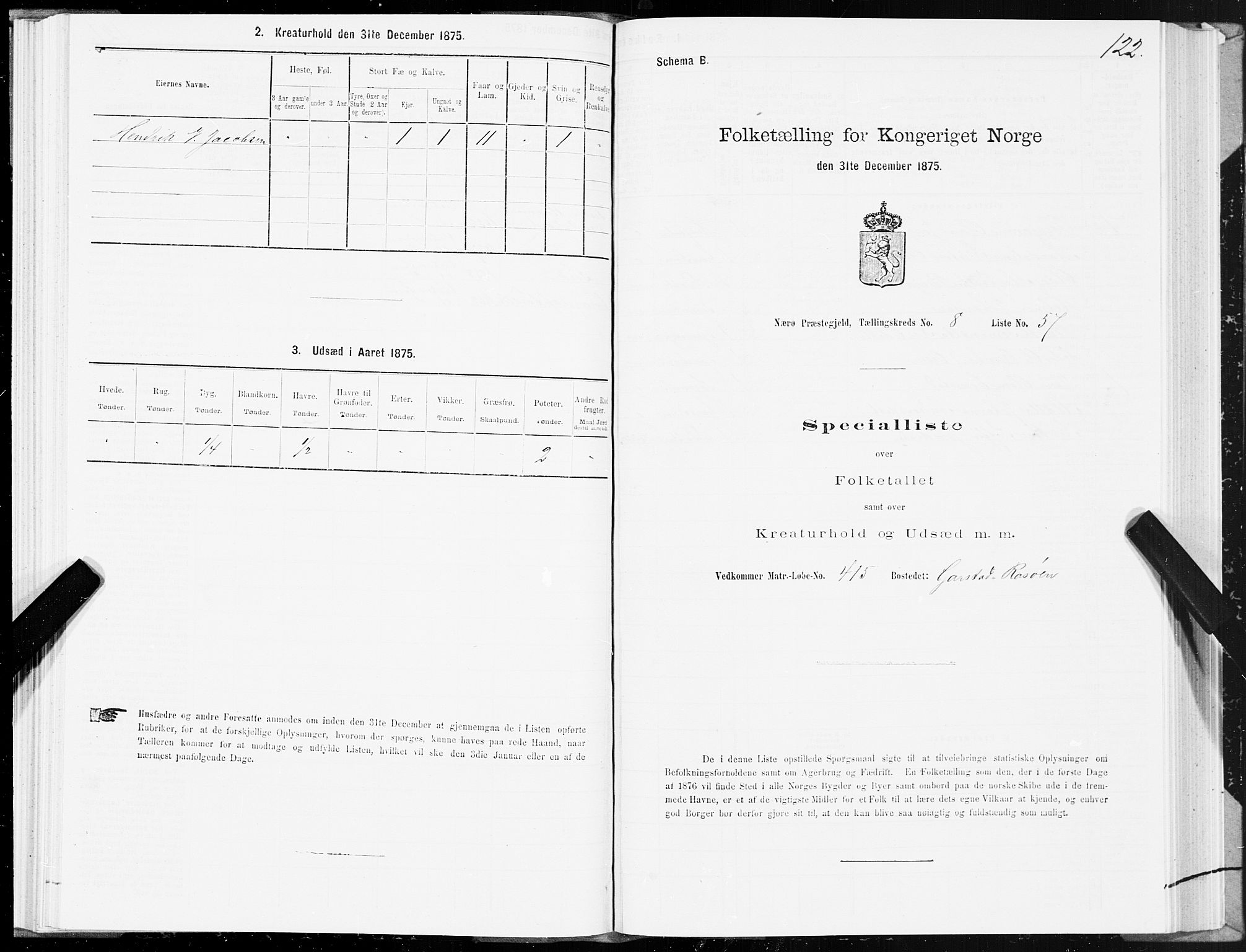 SAT, 1875 census for 1751P Nærøy, 1875, p. 4122