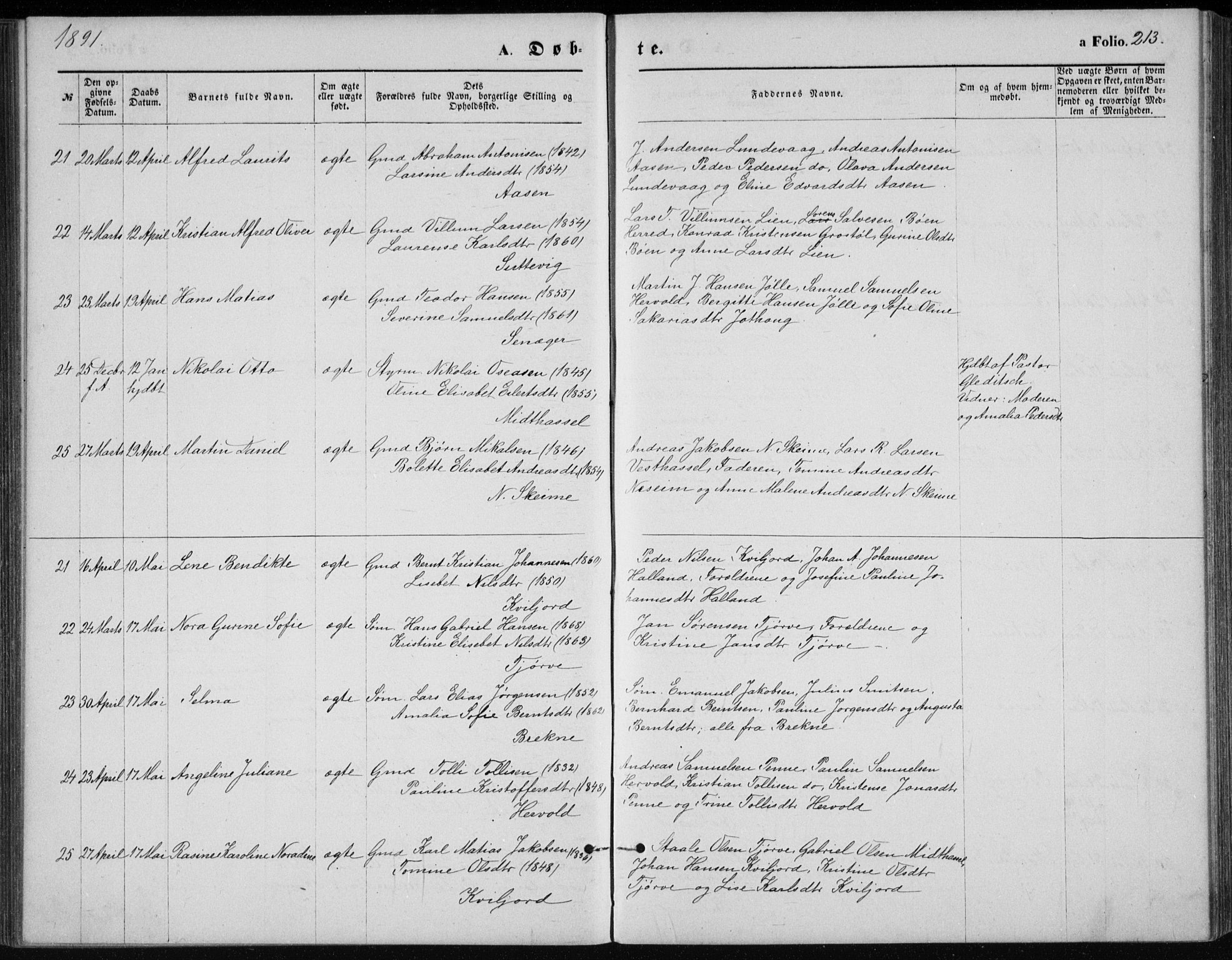 Lista sokneprestkontor, SAK/1111-0027/F/Fb/L0004: Parish register (copy) no. B 4, 1877-1891, p. 213